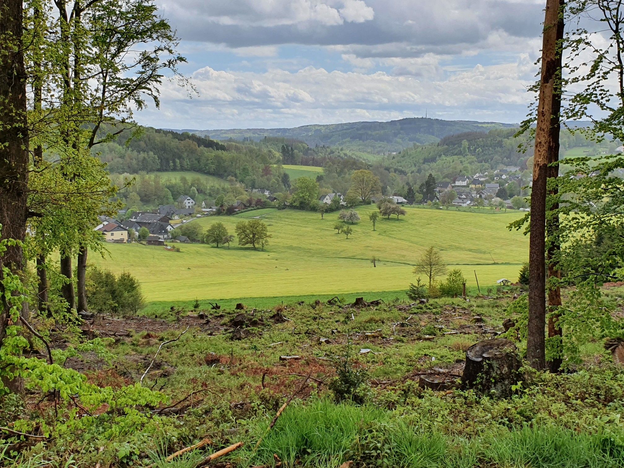 Oberbergischer Landregen