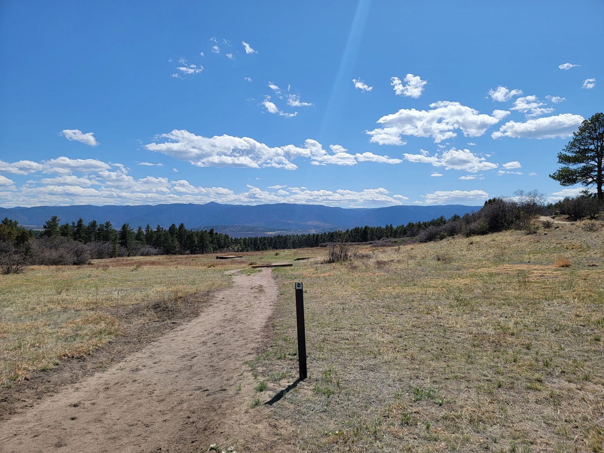A dirt path winds through sunny, grassy fields towards distant mountains. - Dawson Butte Trail