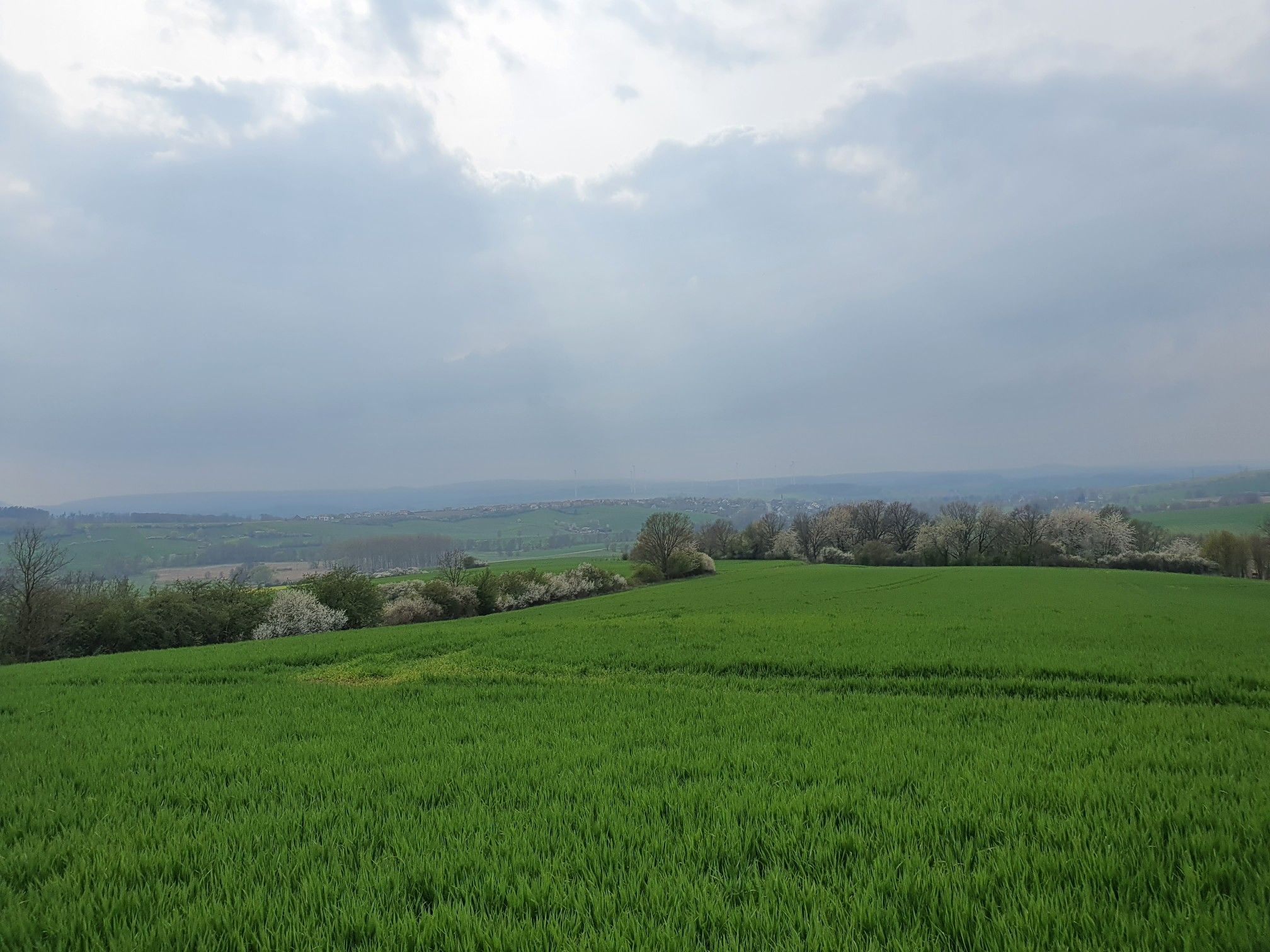 Gieboldehausen 