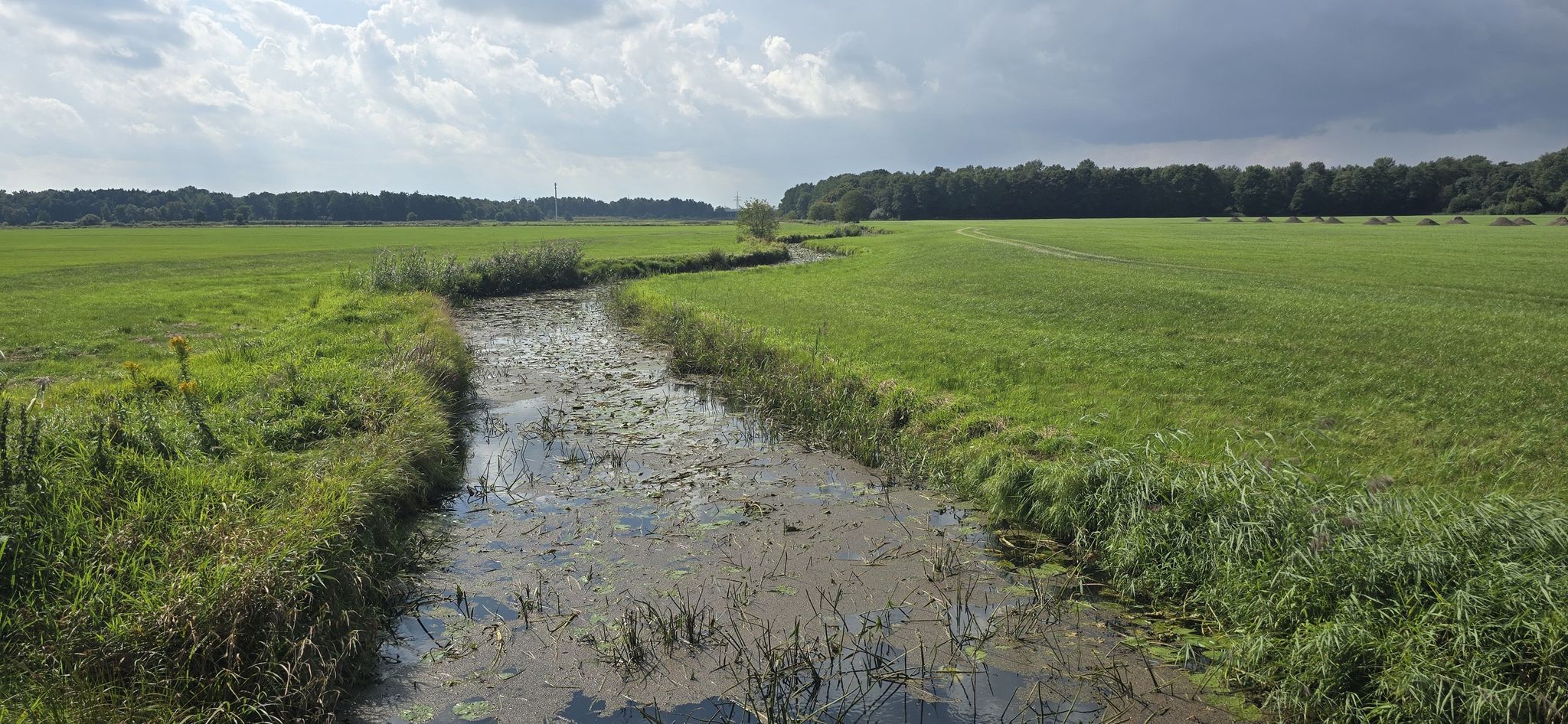 Bremerhaven in Sicht