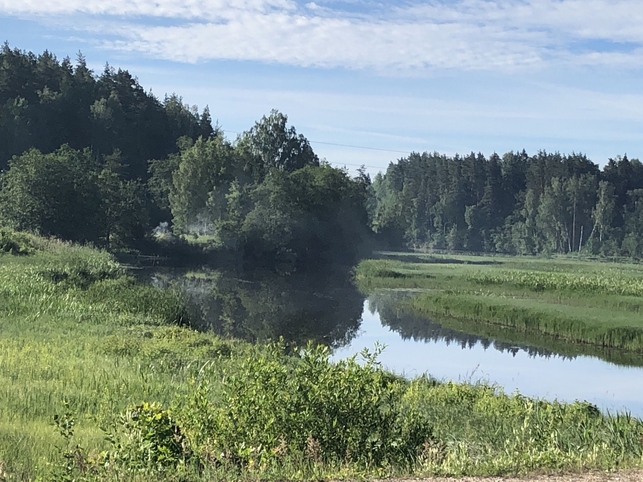 Frühnebel 