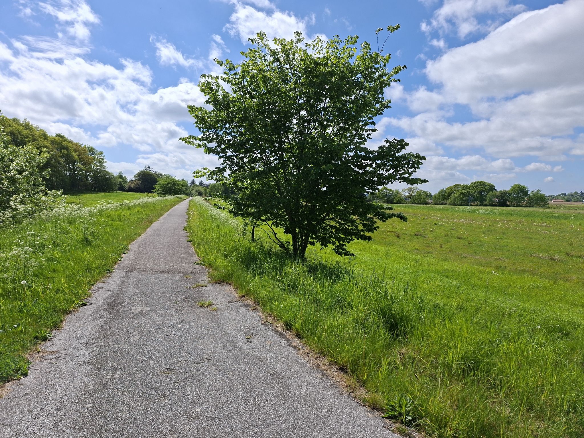 Schade, jetzt ist dieser herrliche Fahrradweg vorbei (N29/N102). War die letzten 25km fast alleine unterwegs, immer eben, nur Wald, Wiesen und Felder ... so schön still!🫶