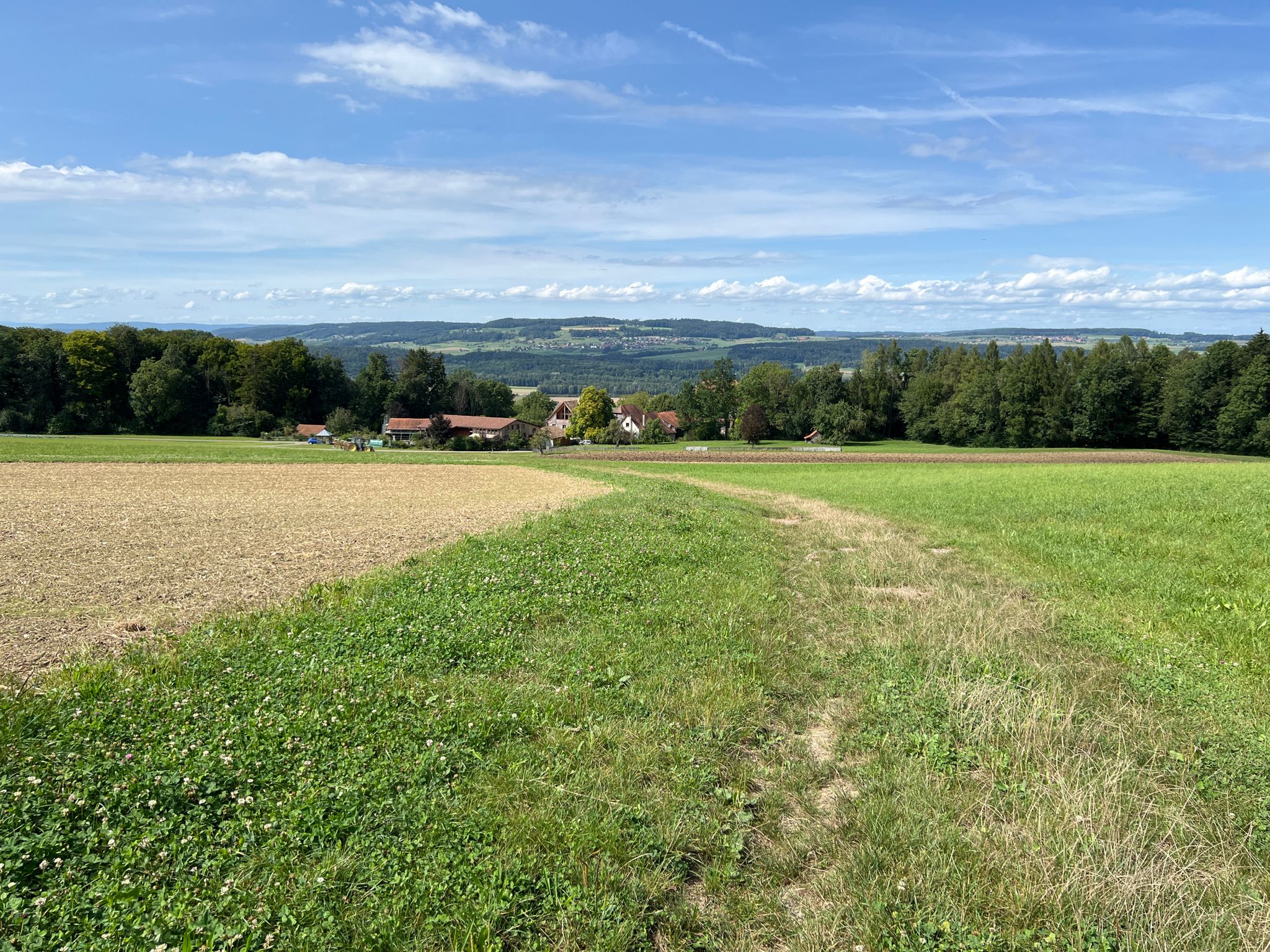Weiler um Schloss Wellenberg bei Felben-Wellhausen TG