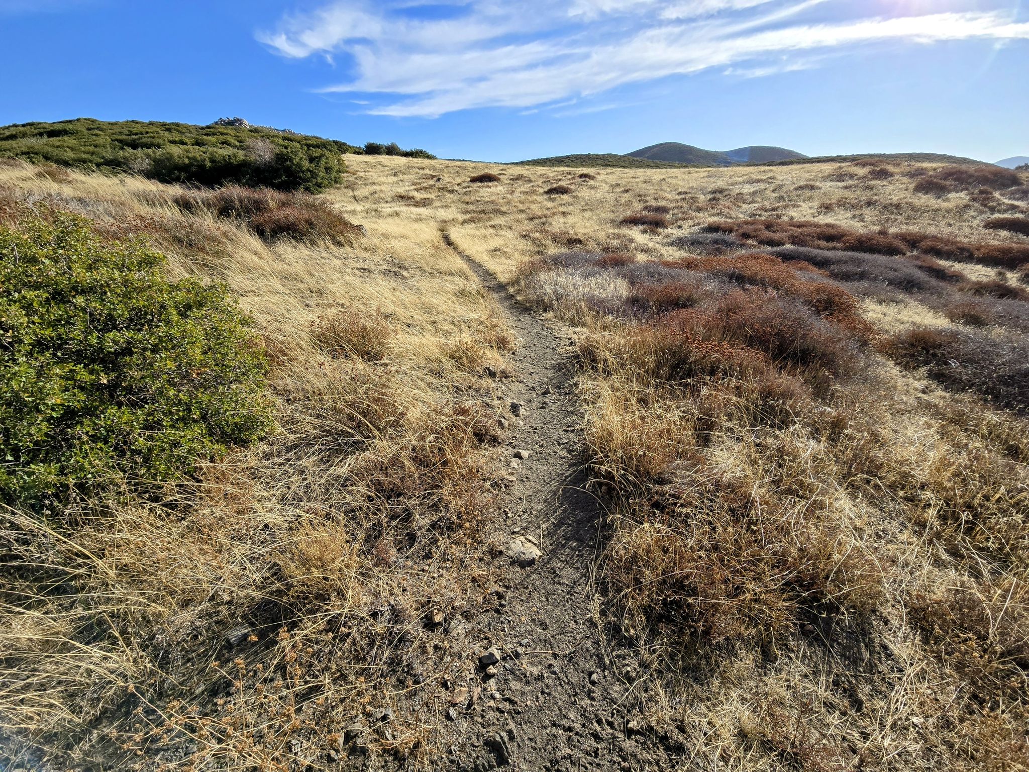 A narrow dirt trail winds through dry, golden hills under a bright blue sky. - Pacific Crest Trail: Scissors Crossing to Sunrise Highway