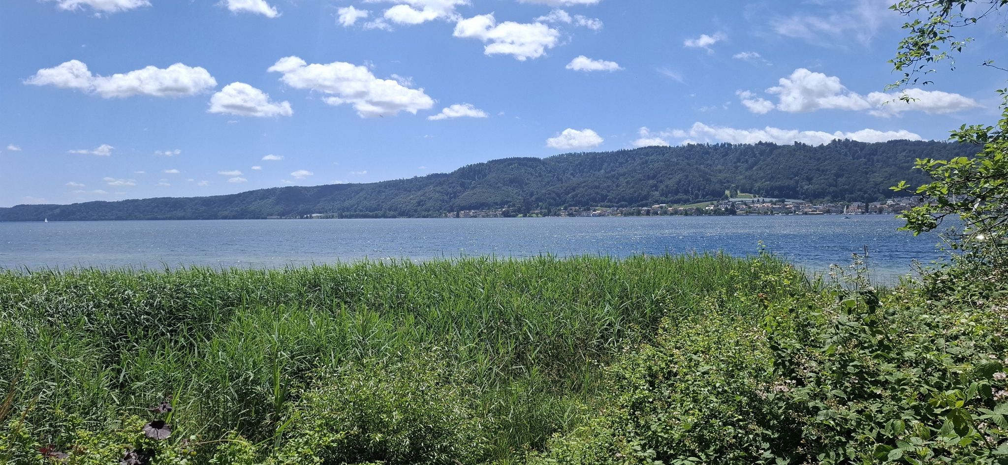 Bodensee1