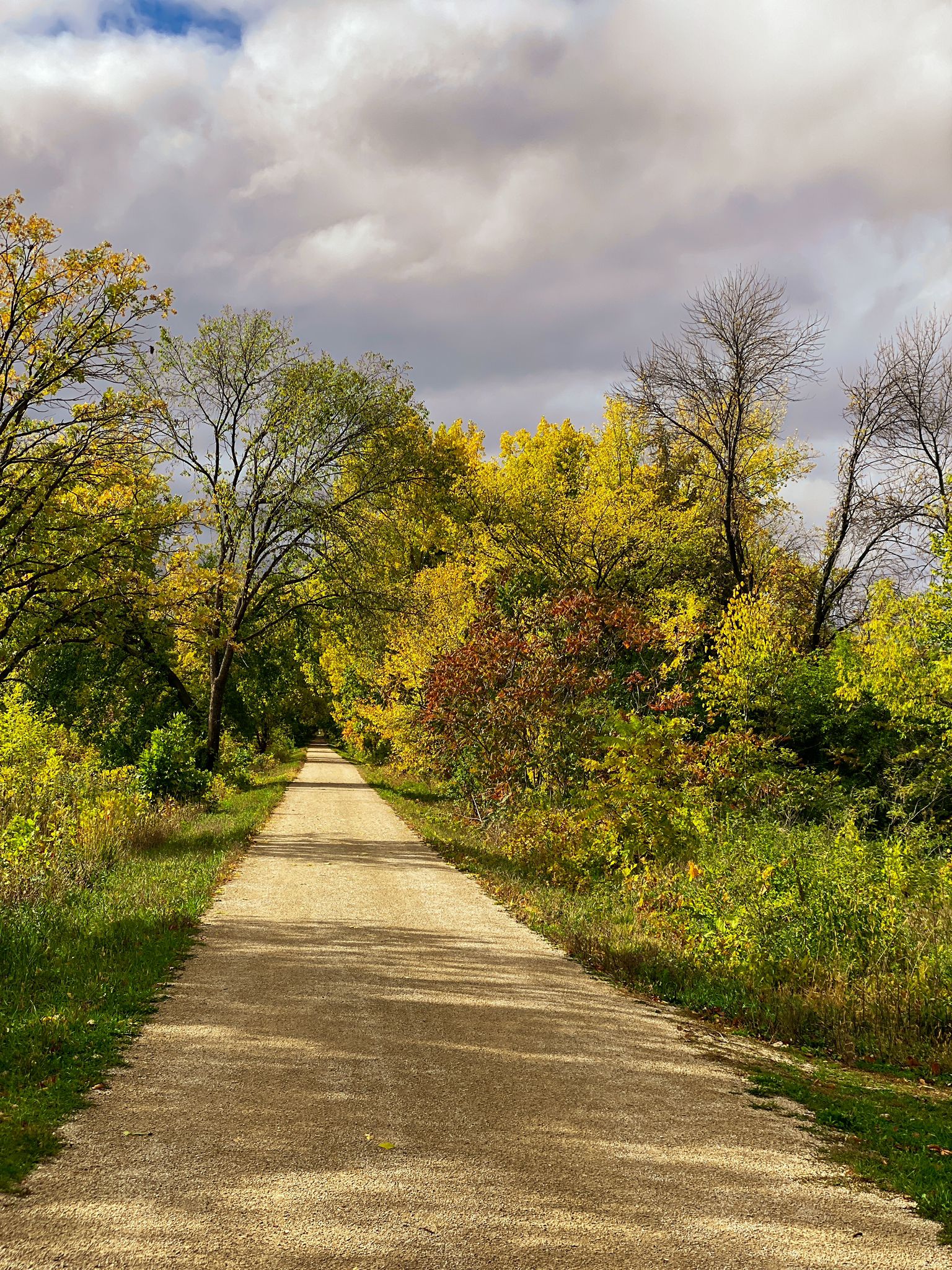 Dirt path through vibrant autumn trees under a dramatic cloudy sky. - Riley Lake Park – Saint Albans Bay Bridge loop from Deephaven