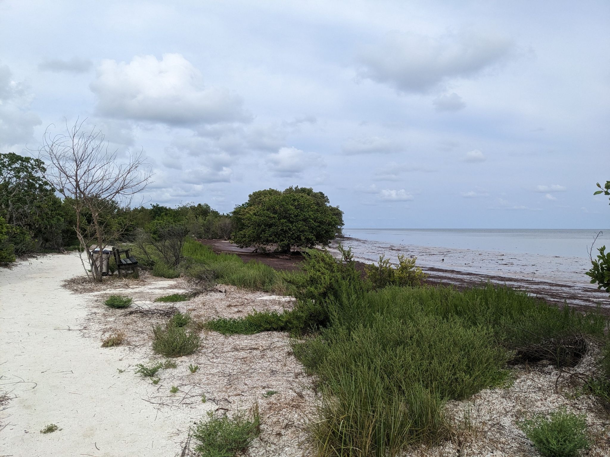 Sandy path by calm water and green trees under cloudy sky. - Golden Orb Trail