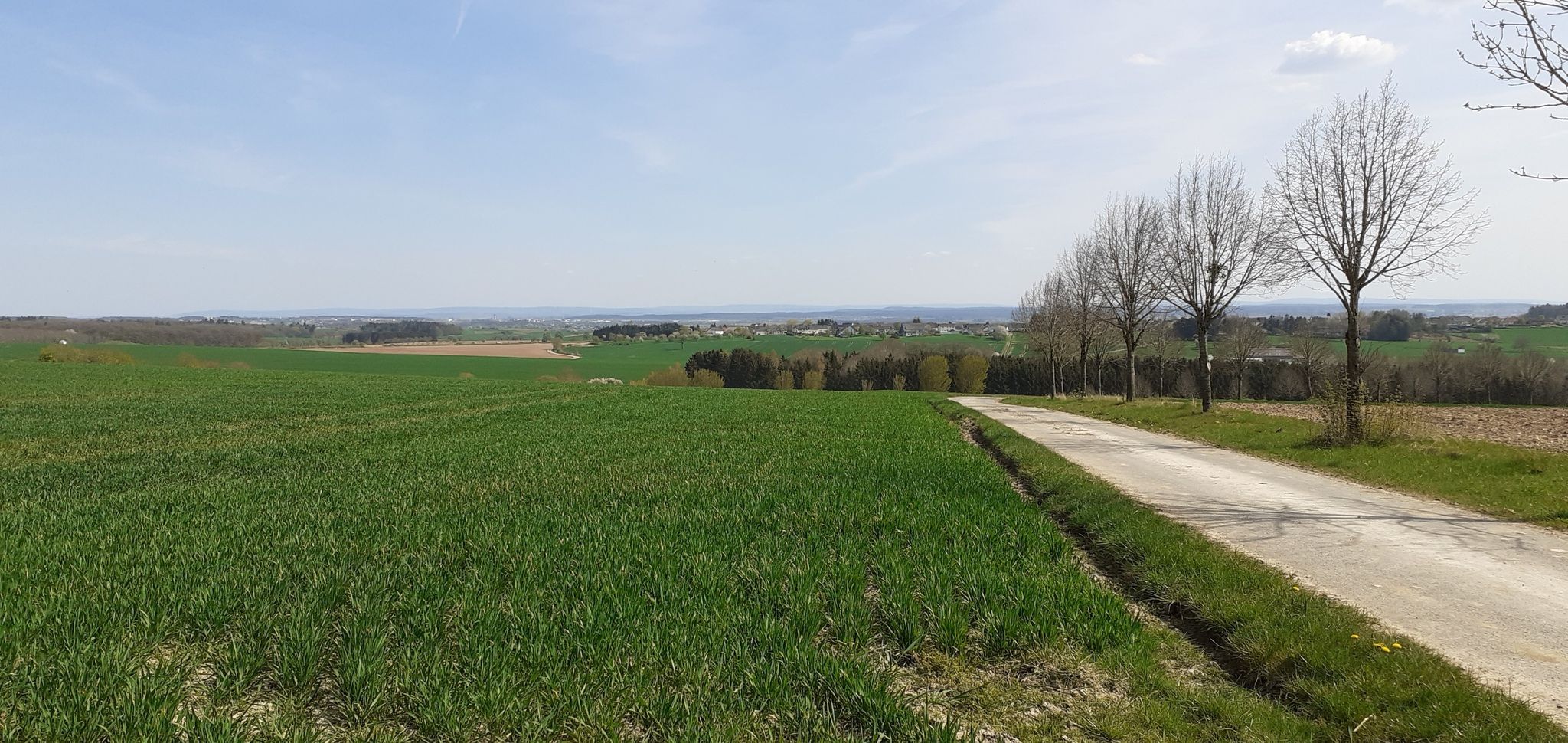 blick auf Badem