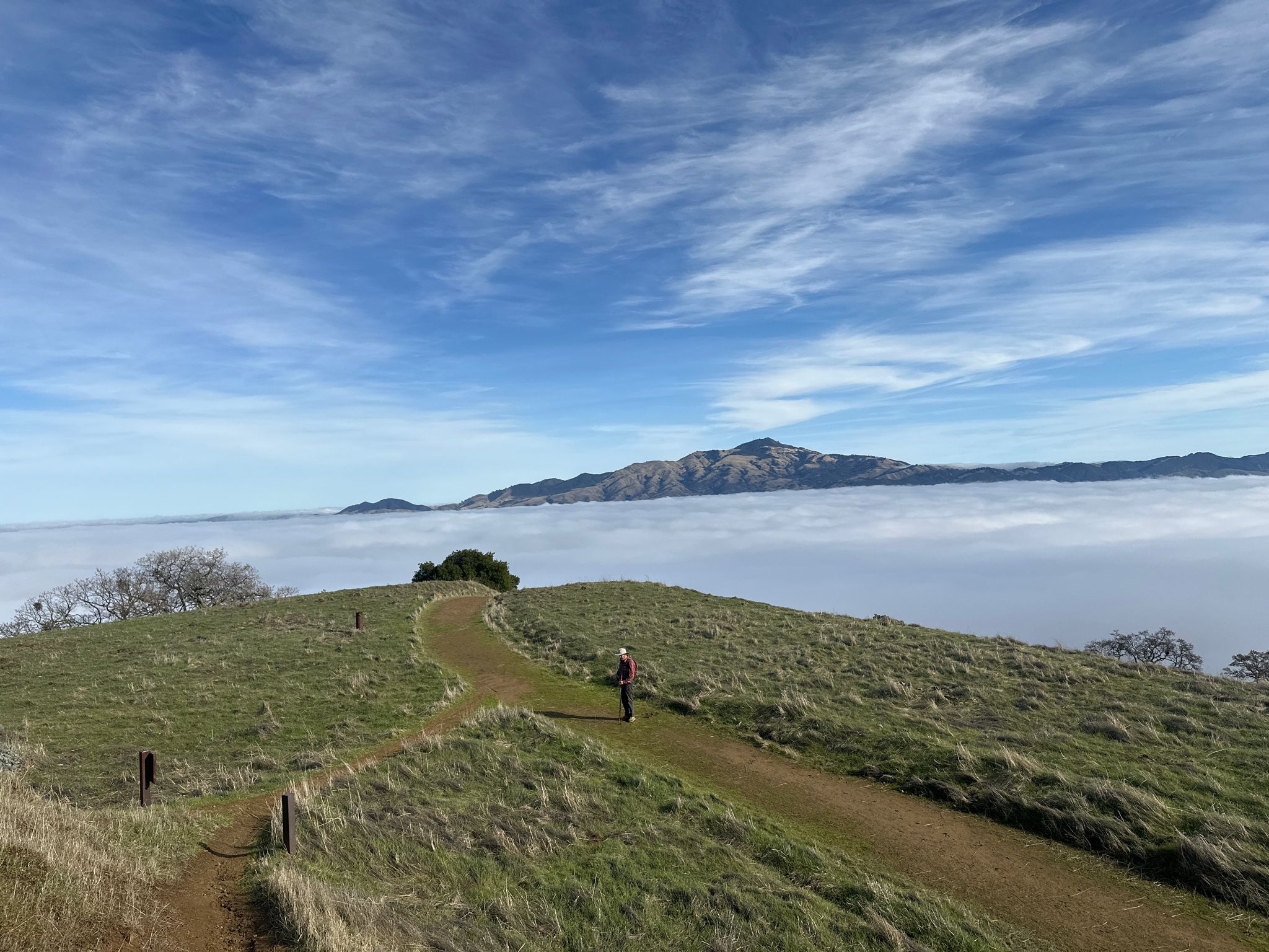 Person walks on a grassy trail above a sea of clouds, distant mountains. - Las Trampas and Rocky Ridge Loop