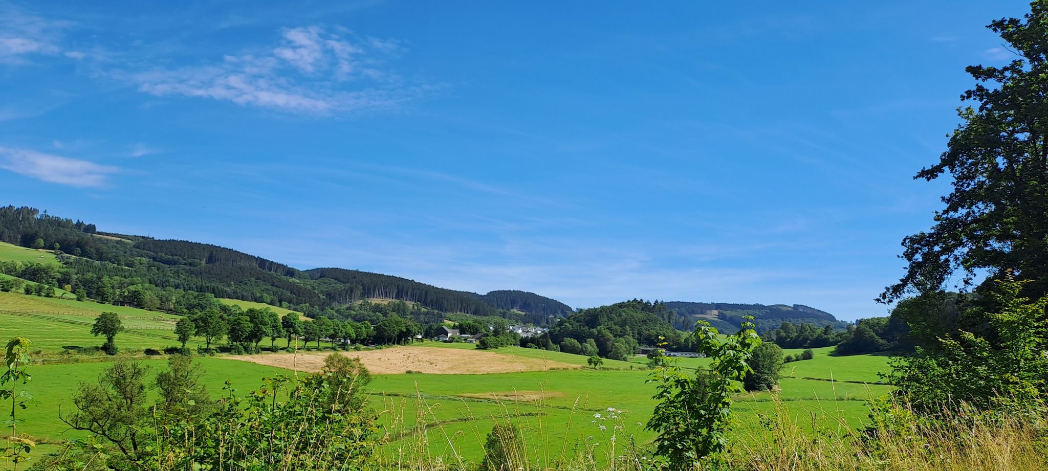 Herrlicher Ausblick
