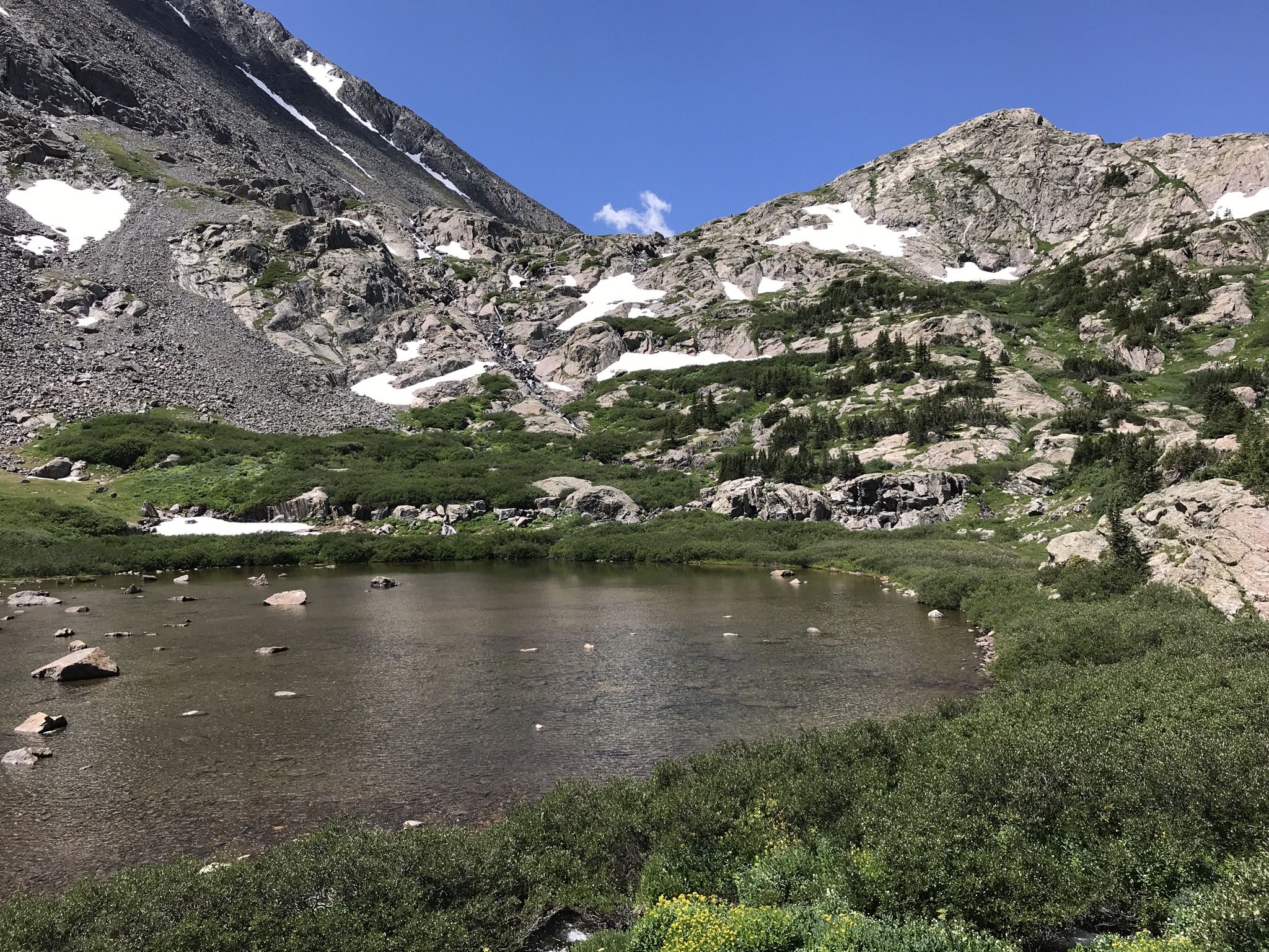 A small mountain lake surrounded by green bushes and snow-capped rocky peaks. - McCullough Gulch Trail
