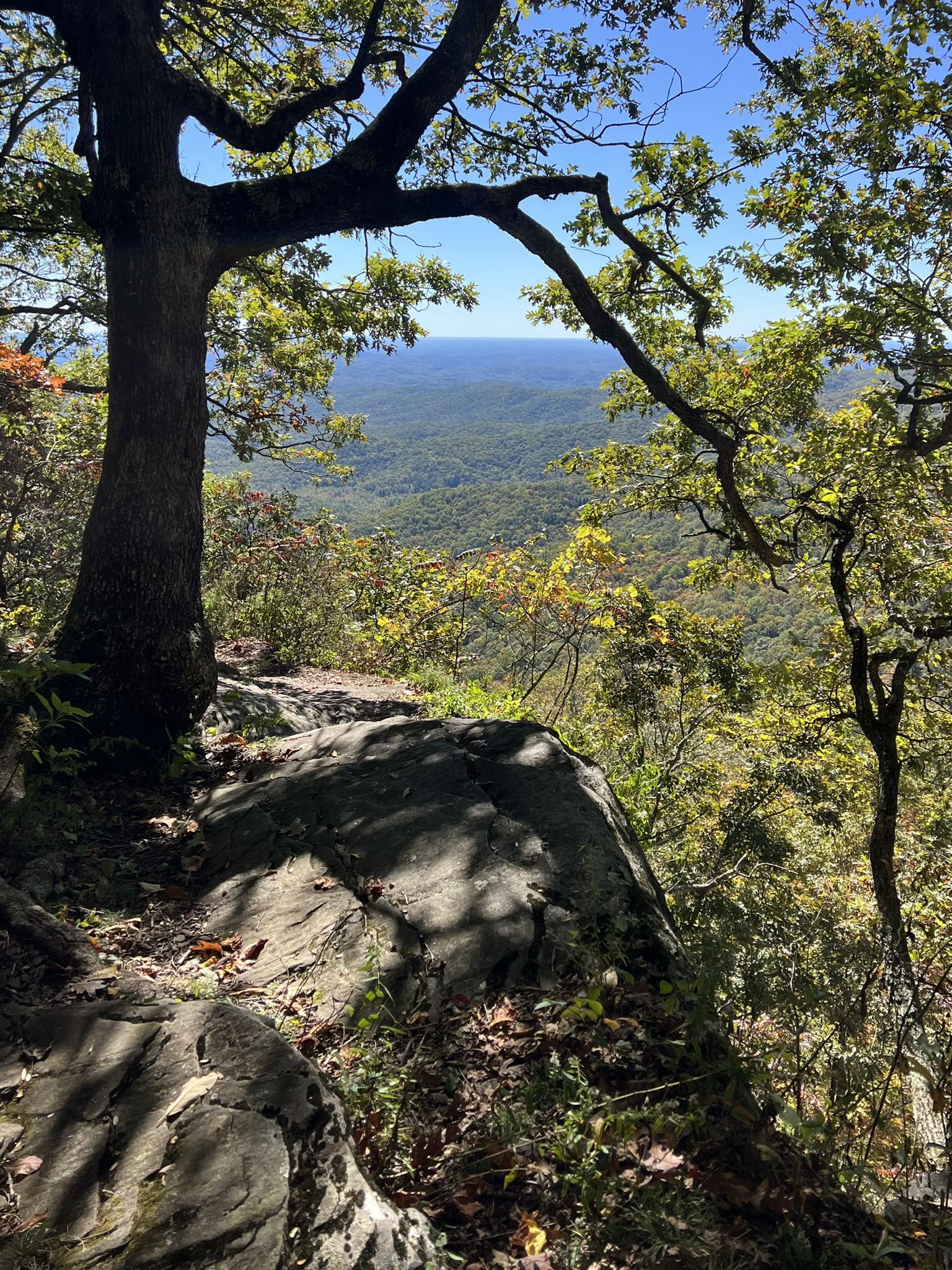 Rocky cliff edge with trees overlooking a vast green valley. - Appalachian Trail: Woody Gap to Gooch Gap