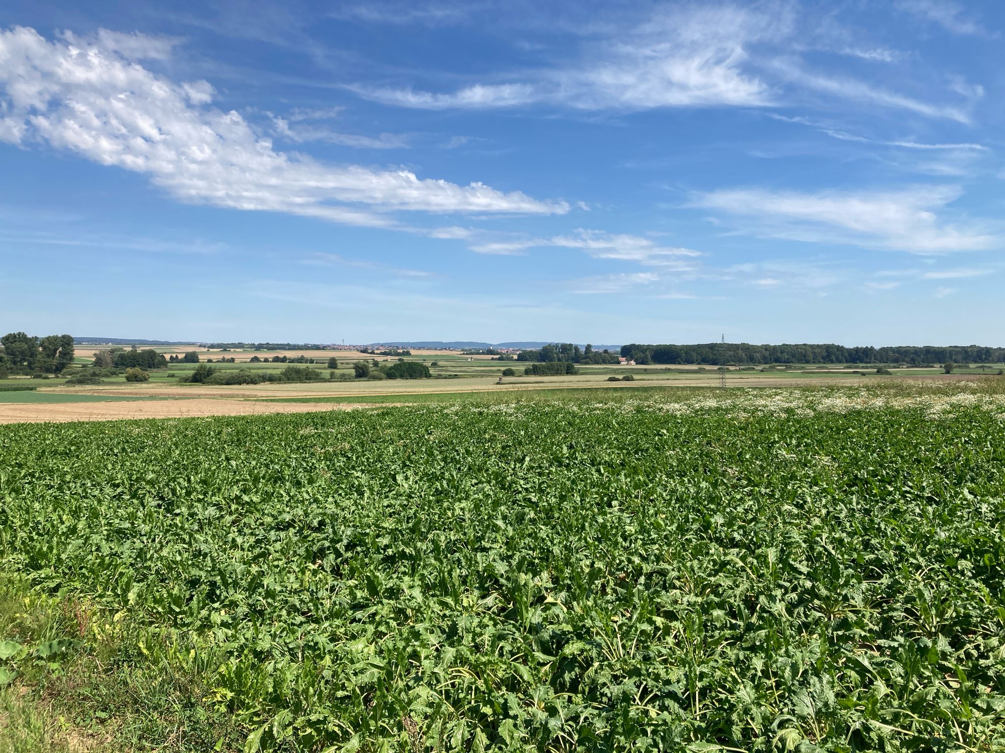 Blick ins Schuttertal