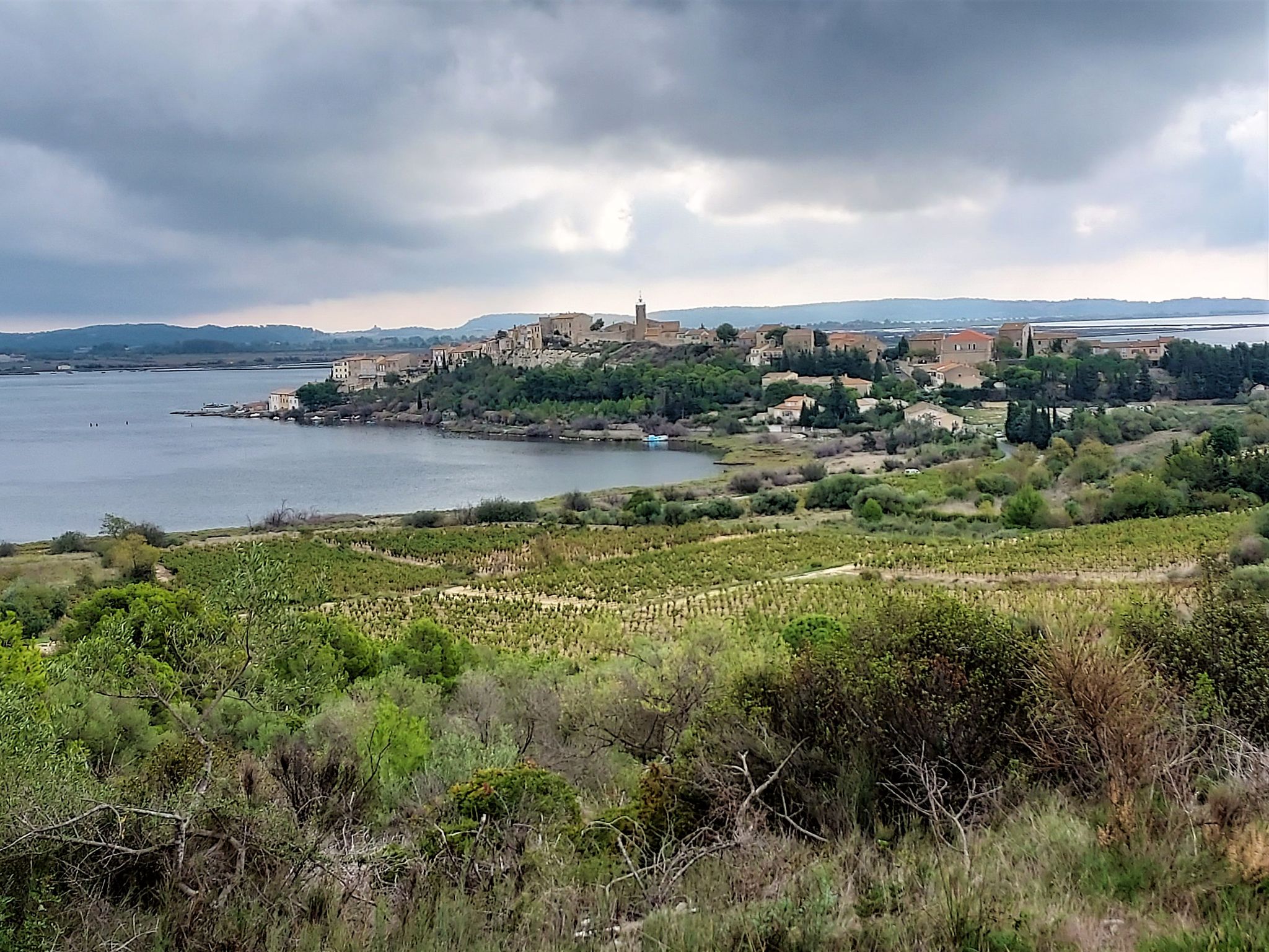 Bages