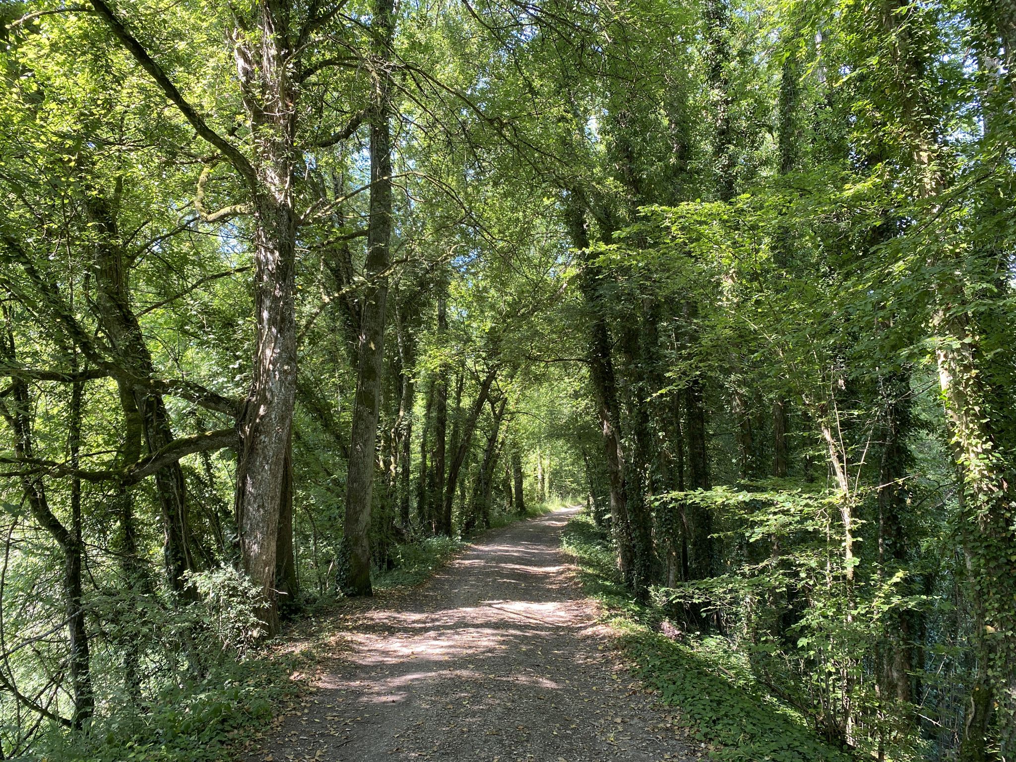 wunderbarer Weg auf der alten Bahntrasse