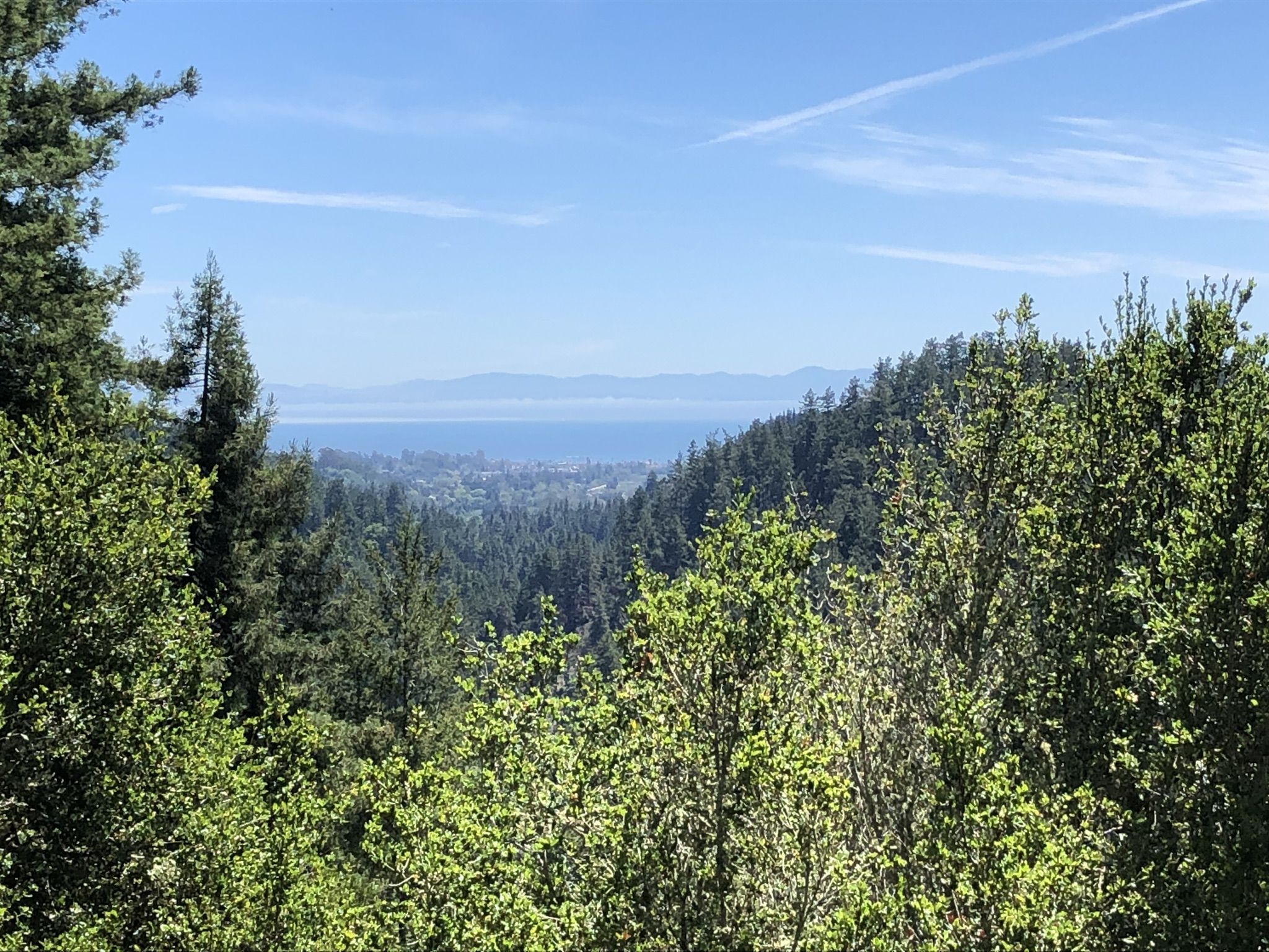 Expansive view of a distant ocean over green, forested hills under blue sky. - Cable Car Beach – Cathedral Redwoods loop from Felton Roaring Camp