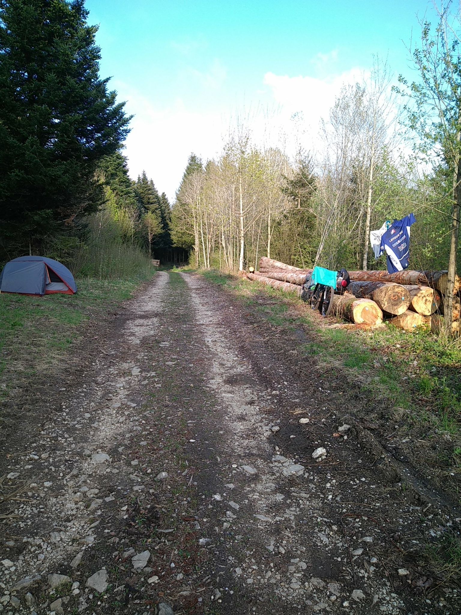 Bivouac en forêt