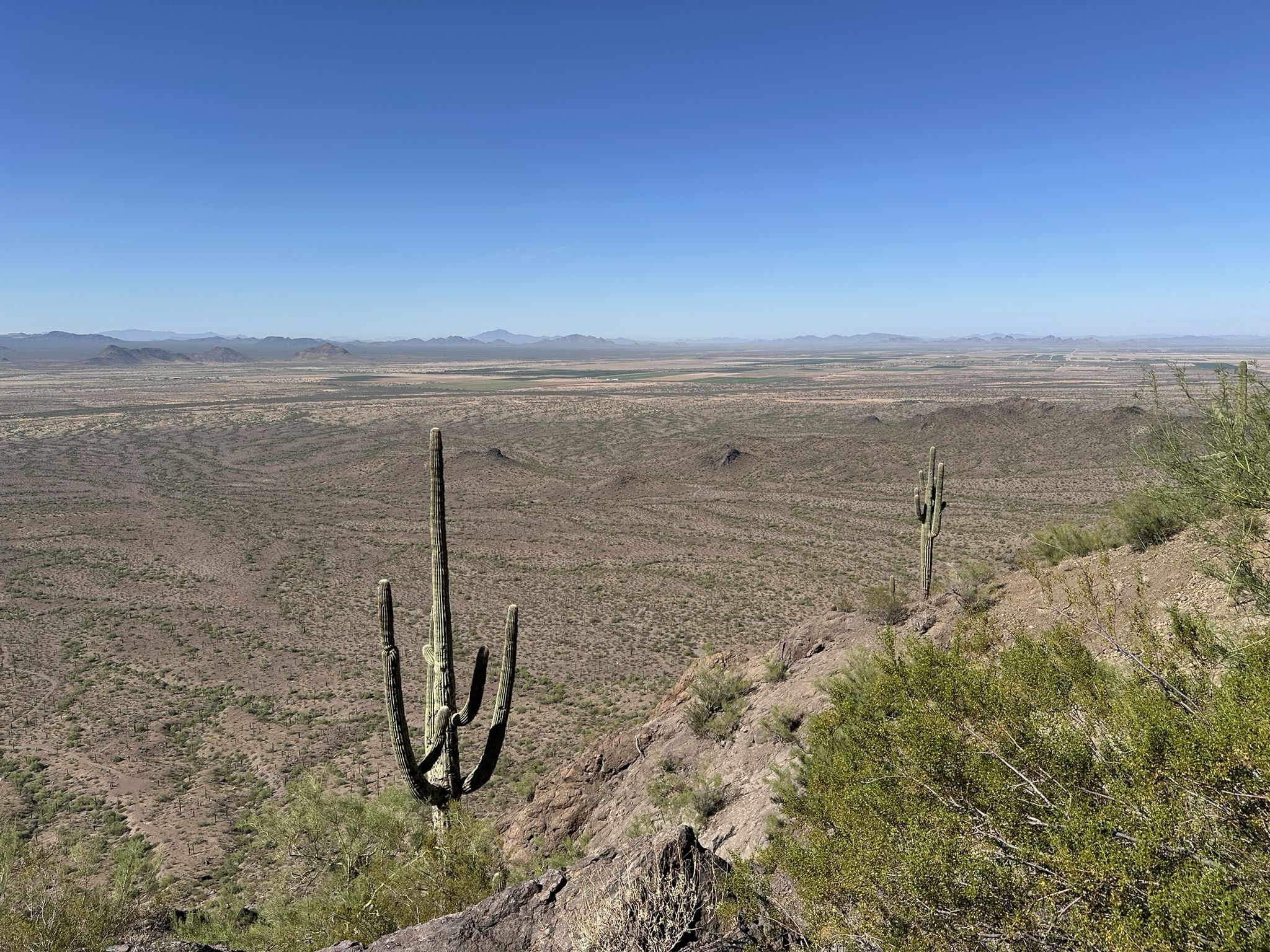 Saguaro cacti on a rocky slope overlooking a vast, arid desert plain. - Hunter Trail