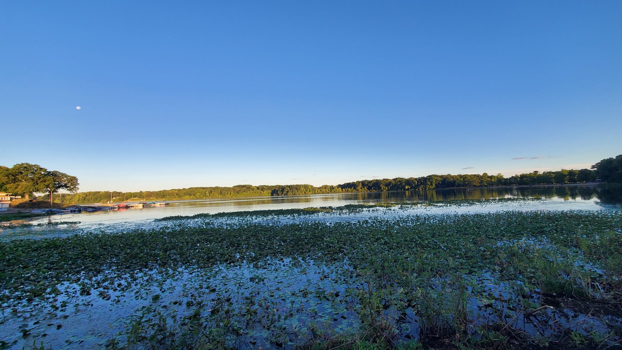 Wide shot of a calm lake with green vegetation under a clear blue sky. - Hennessy Wetland loop from La Porte