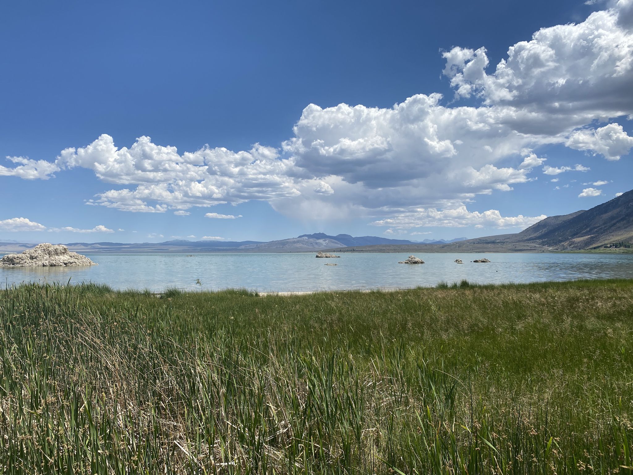 Grassy foreground overlooking a large lake with distant mountains under a cloudy sky. - Mono Lake Boardwalk Trail