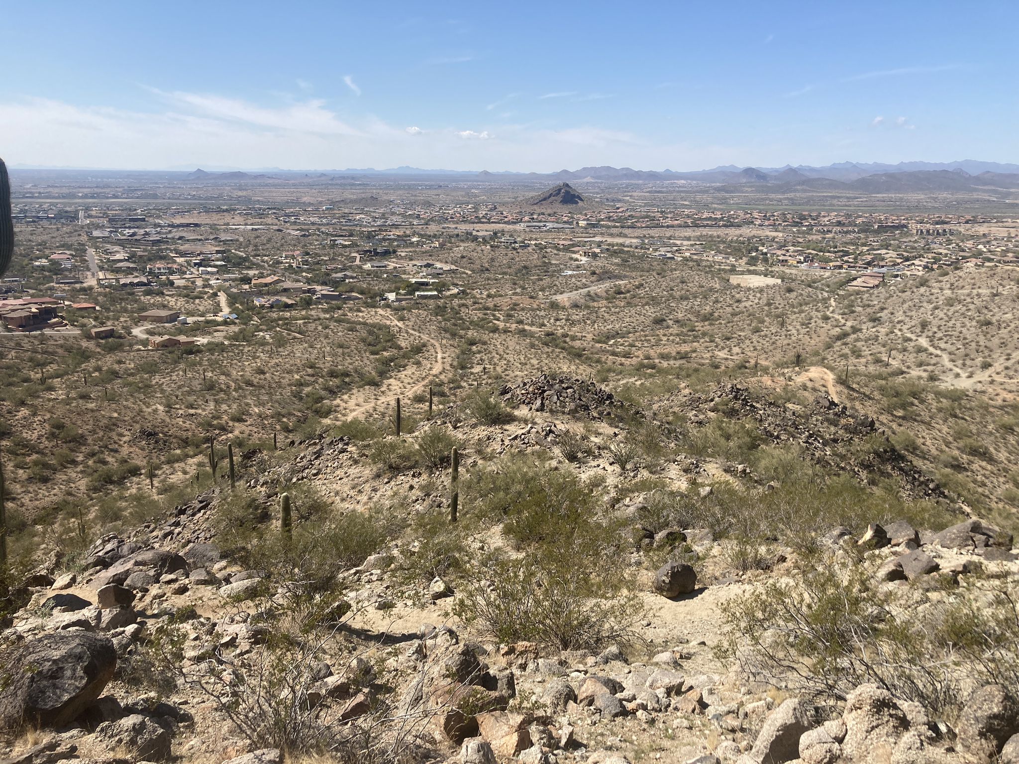 Vast desert landscape with saguaro cacti overlooking a distant city under bright sun. - Sunrise Loop Trail loop from Westwing Mountain Preserve