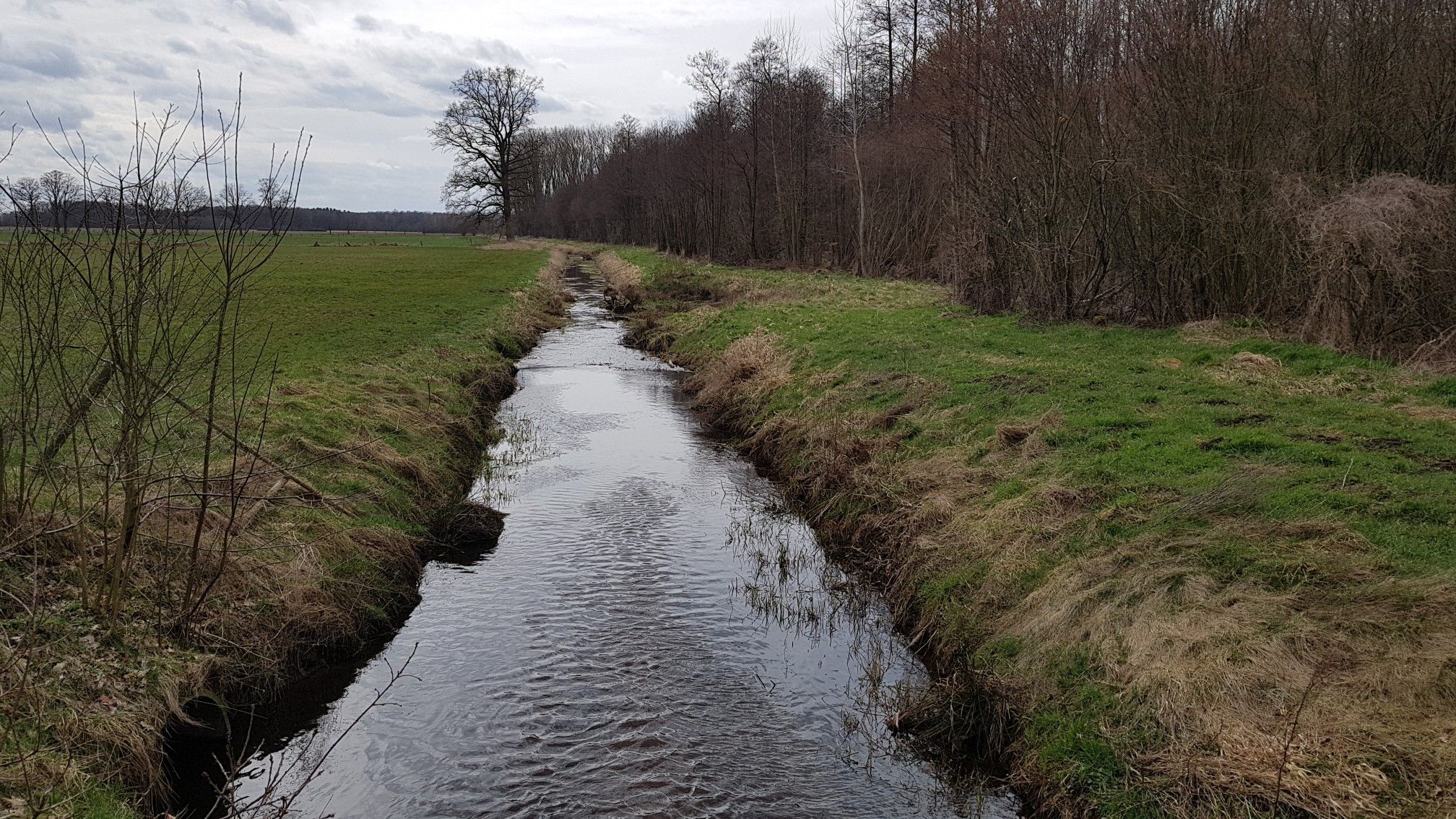 Ab hier Windkraft aber Gegenwind