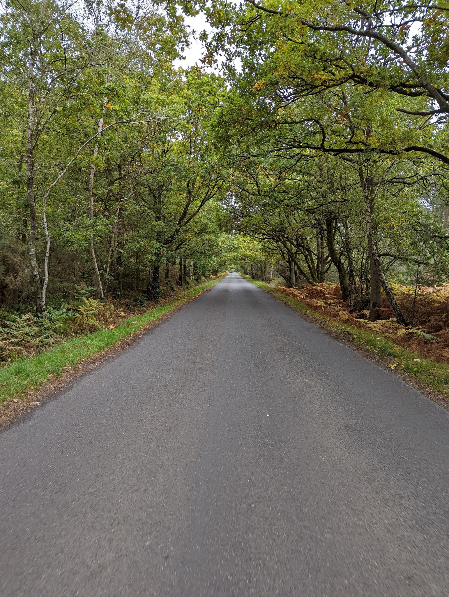 Near Mortimer Common