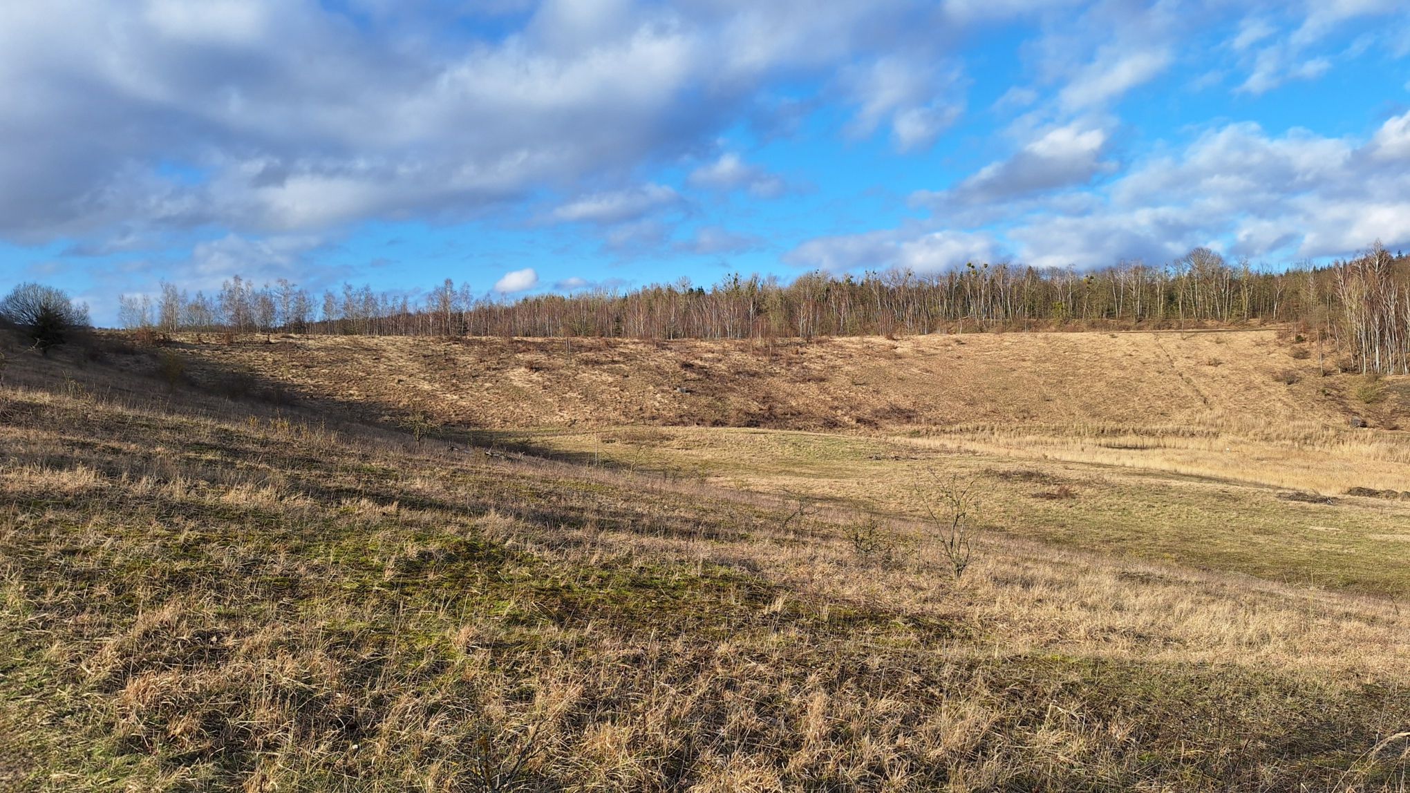"Tagebau Haverlahwiese": Blick rechts.