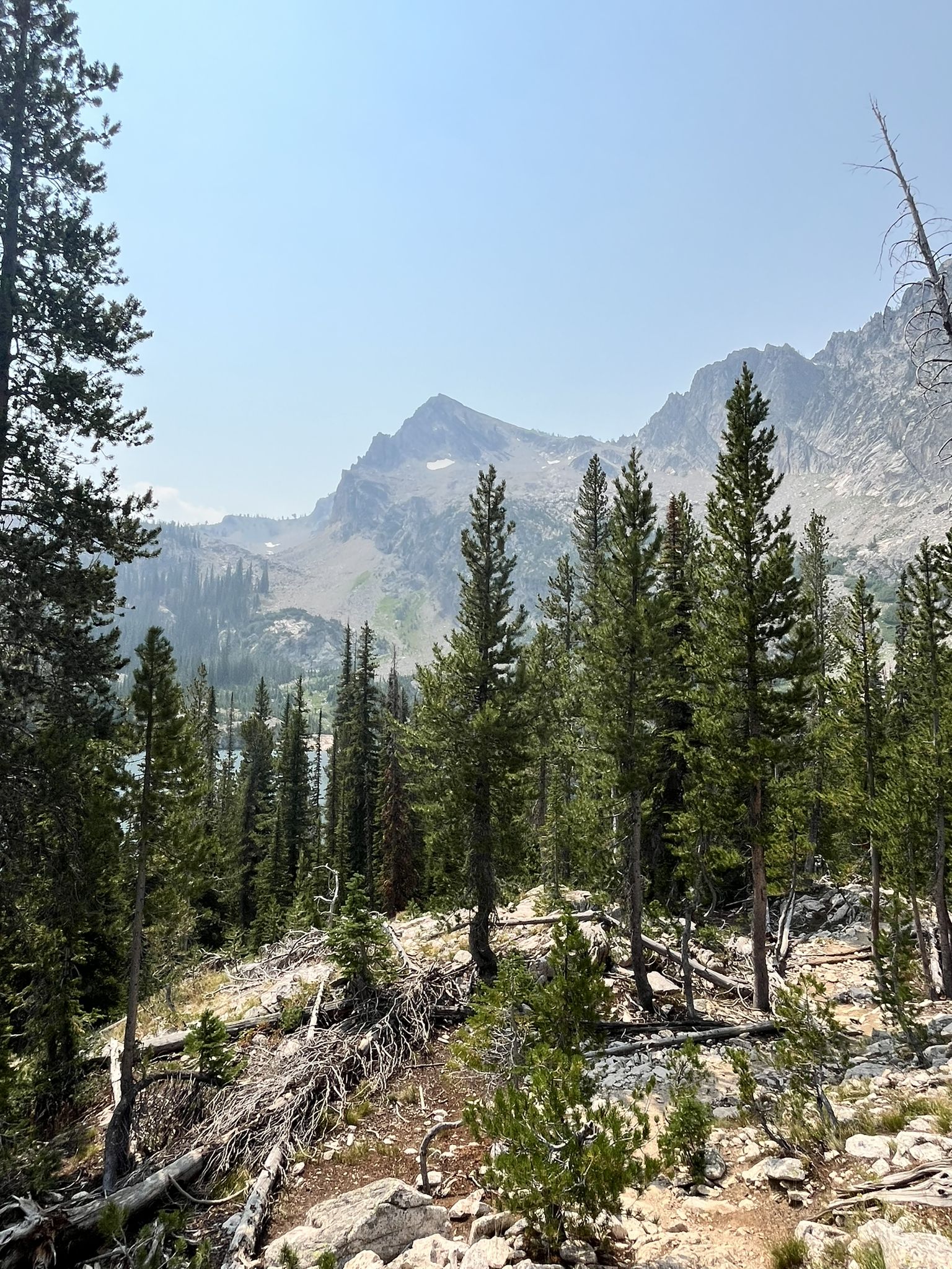 Pine trees on a rocky slope with hazy mountains in the background. - Alpine Lake via Iron Creek Trail