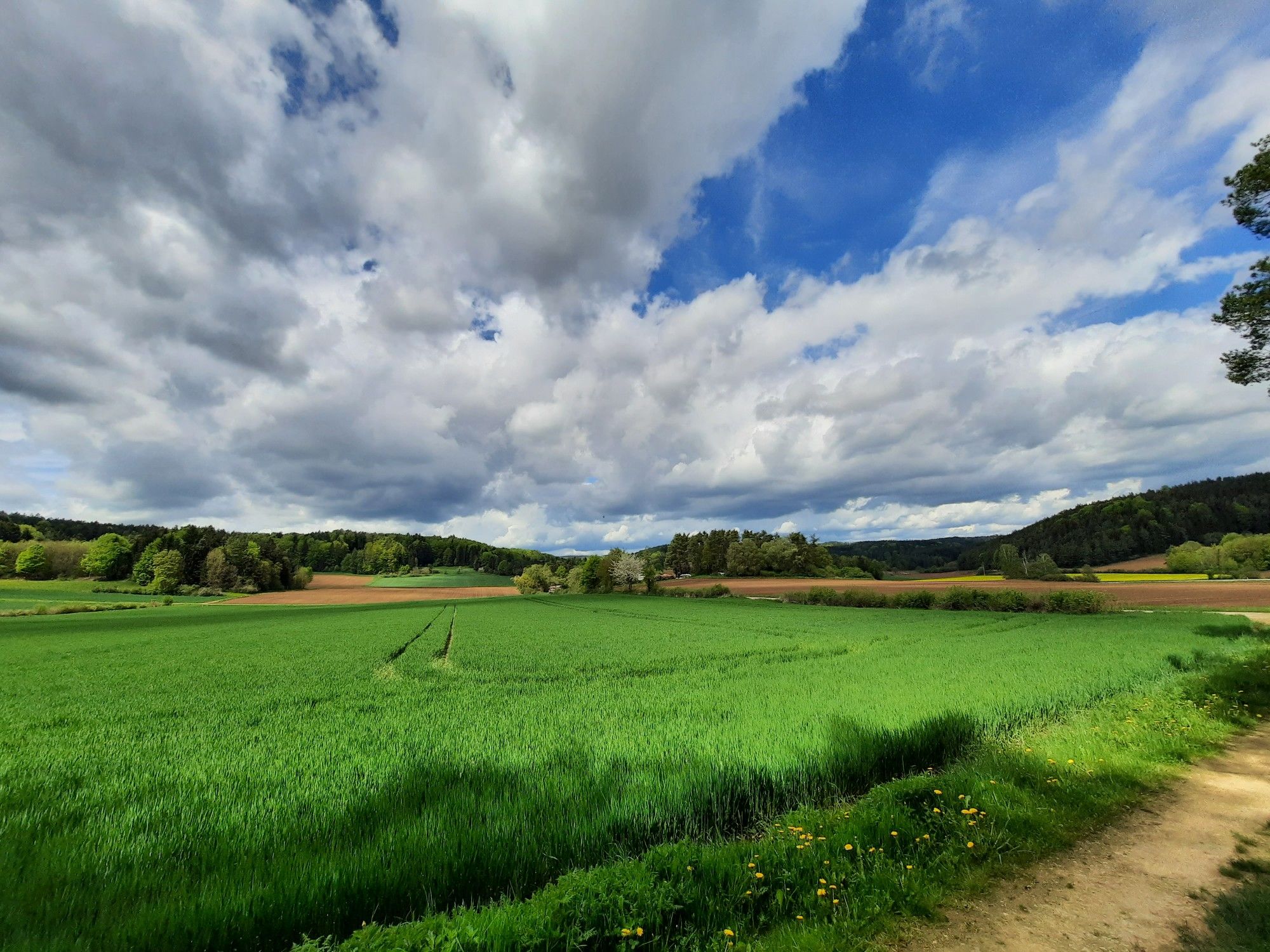 Wolkenmeer 