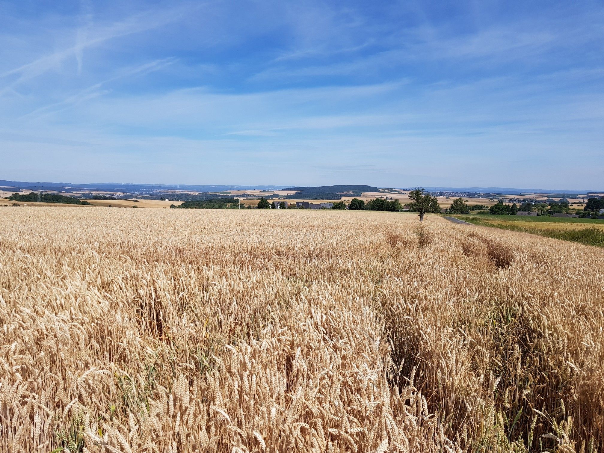 Panorama Kaltenholzhausen 