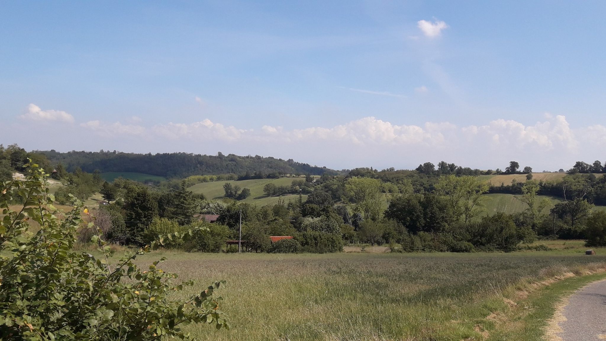 colline di Pecetto di Valenza