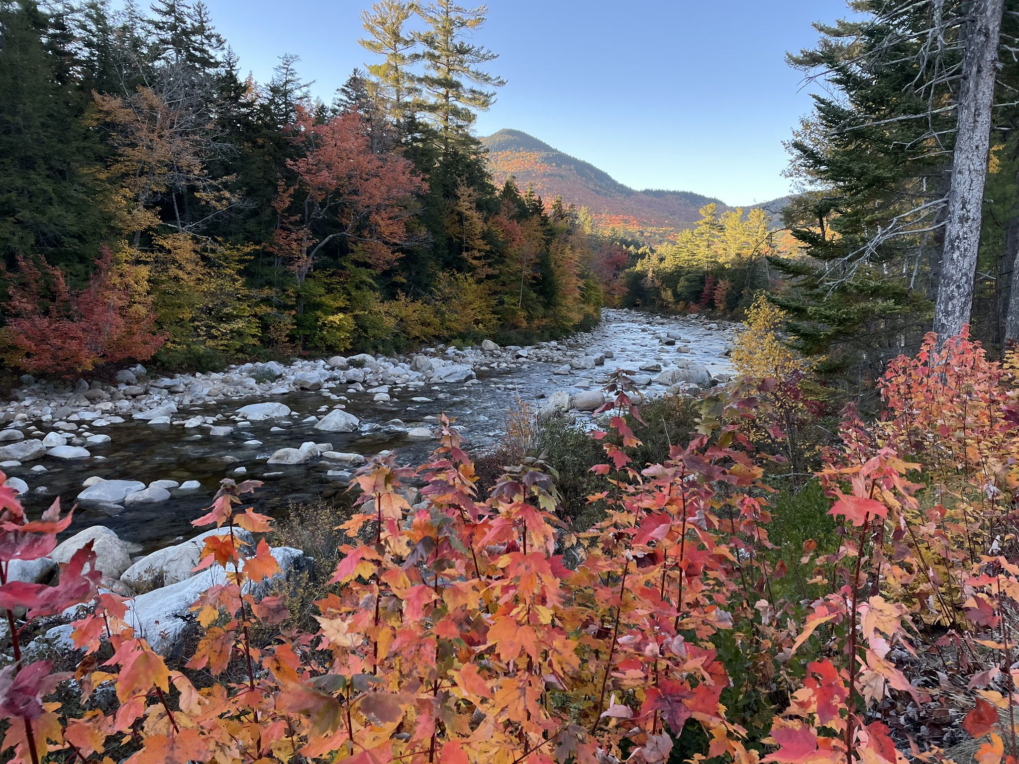 A river flows past vibrant autumn foliage and a distant mountain at golden hour. - Kancamagus Highway Scenic Drive
