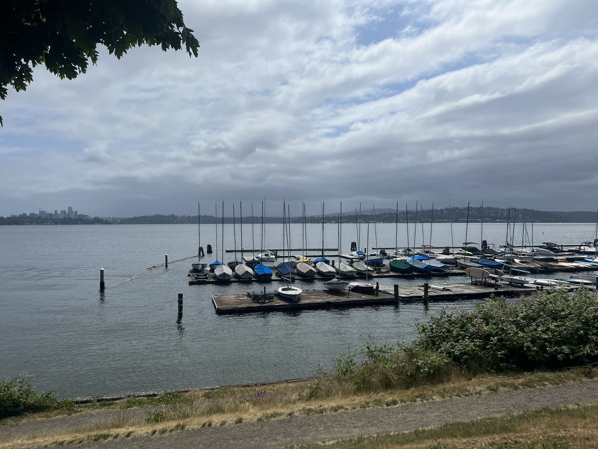 Numerous sailboats docked in a marina under a cloudy, grey sky. - Andrews Bay – View of Mount Rainier loop from Archipelago