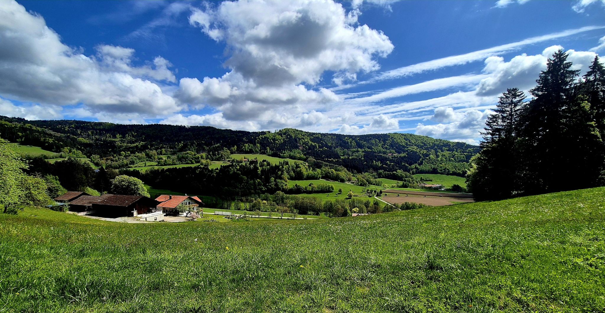 Erster Ausblick