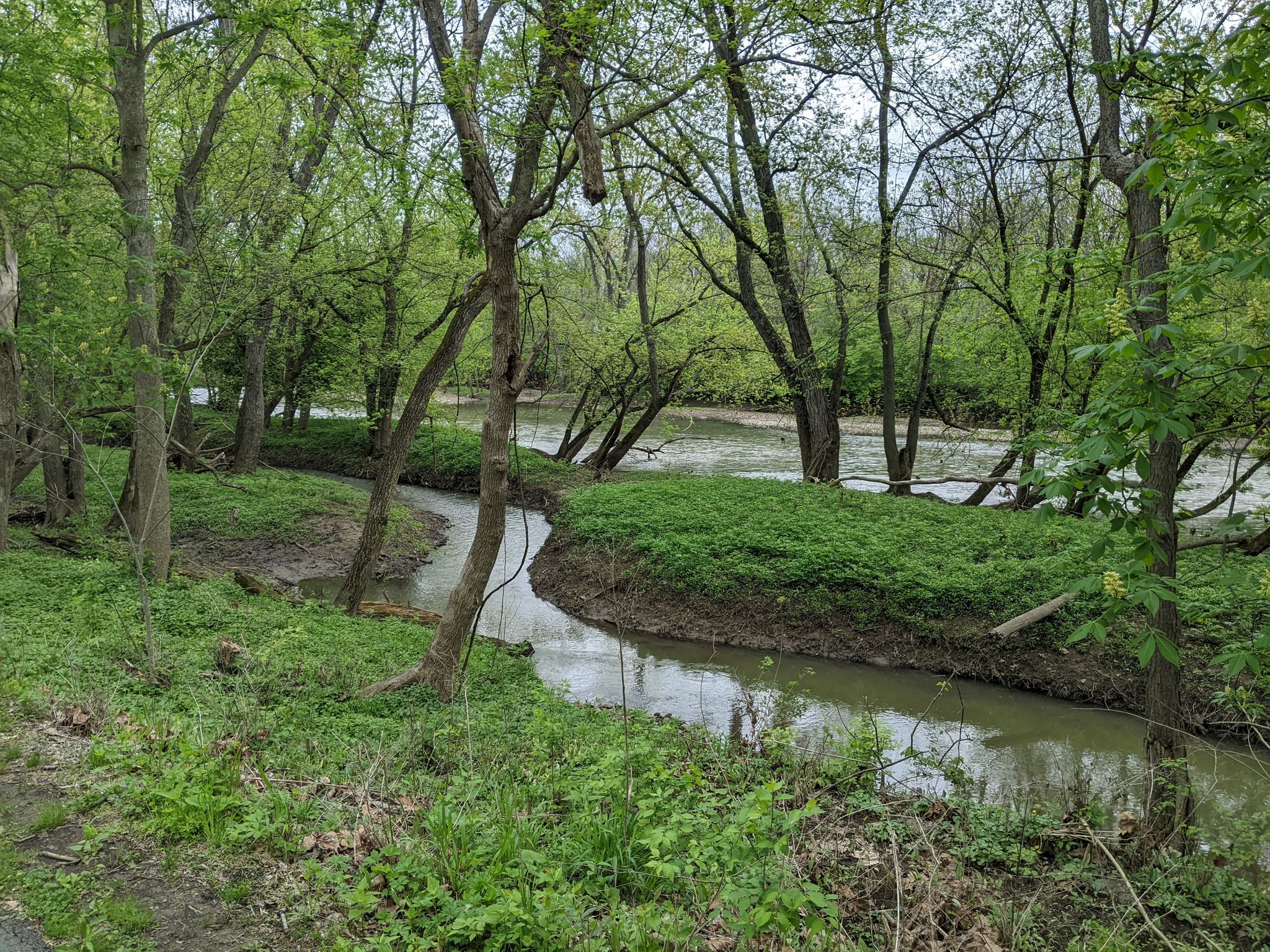 A small stream flows into a wider river surrounded by lush green trees. - Antrim Lake – Antrim Lake Deck loop from Northwest Columbus