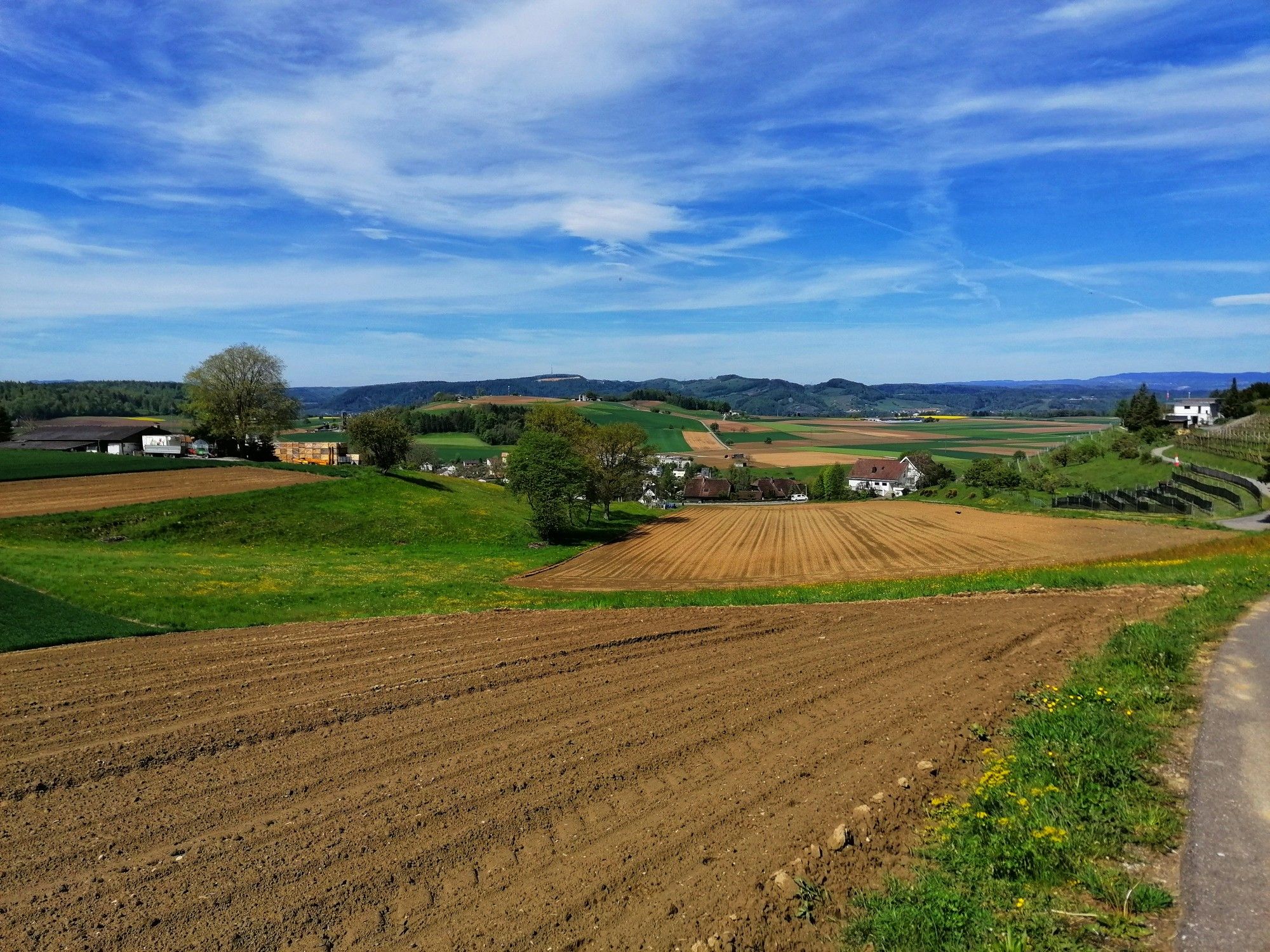 Oberhalb Endingen Blick rüber zum Geissberg