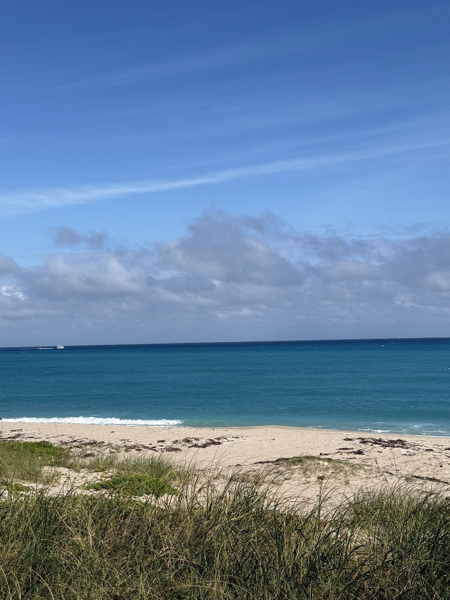 Sandy beach with tall grass in foreground, leading to blue ocean. - Beautiful Beach – Lake Worth Beach Park with pier loop from Norton Museum of Art