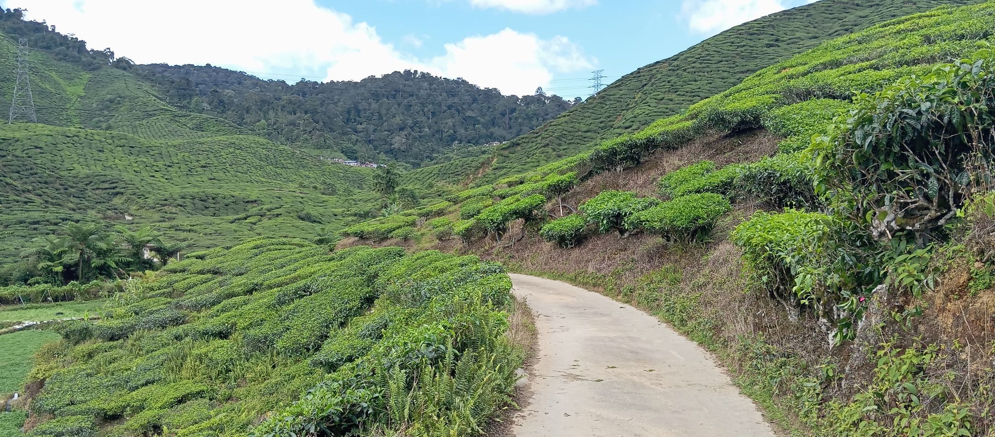 Follow the road