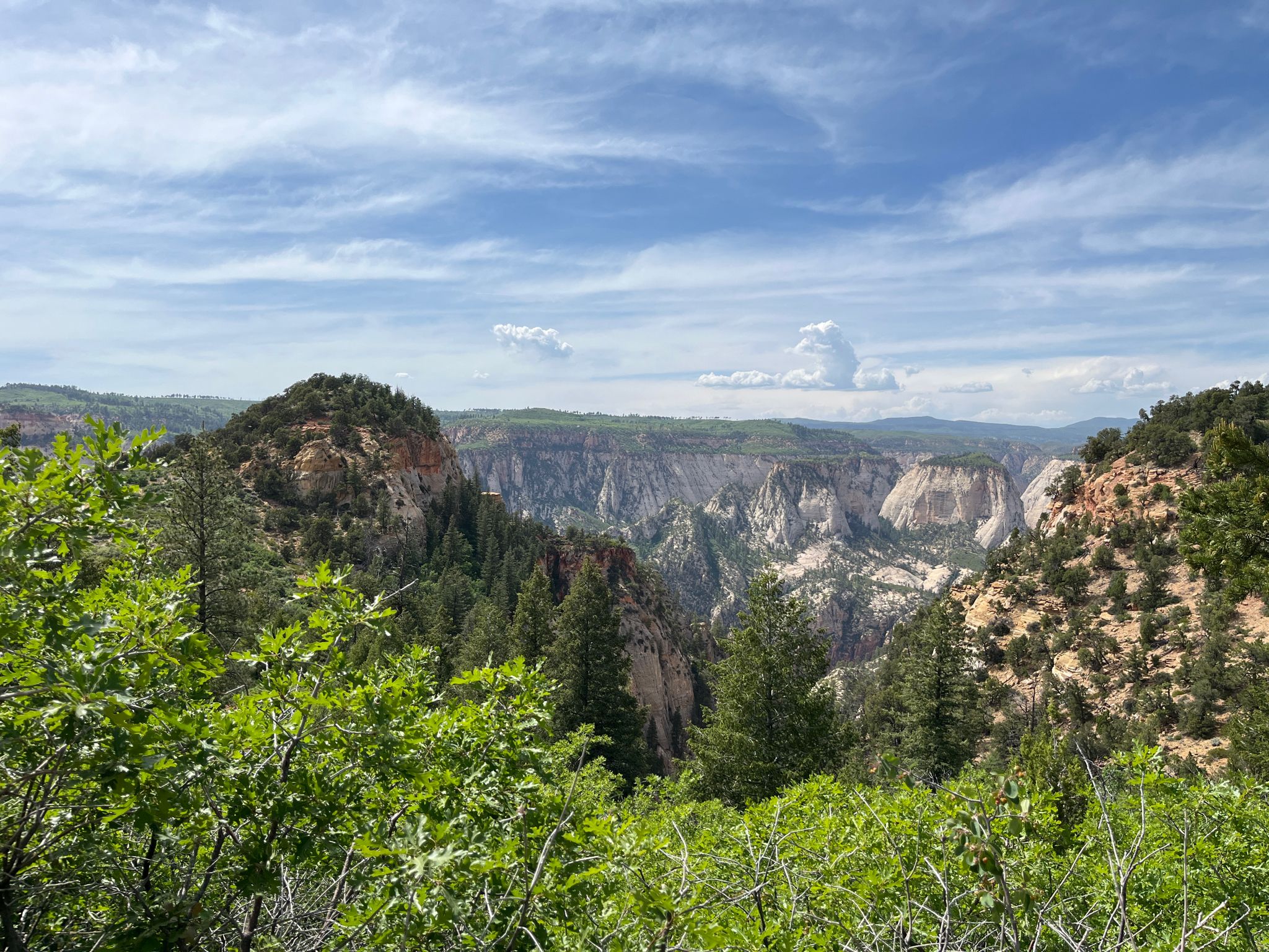 Lush green foliage frames distant canyon landscape under a partly cloudy sky. - East Mesa Trail
