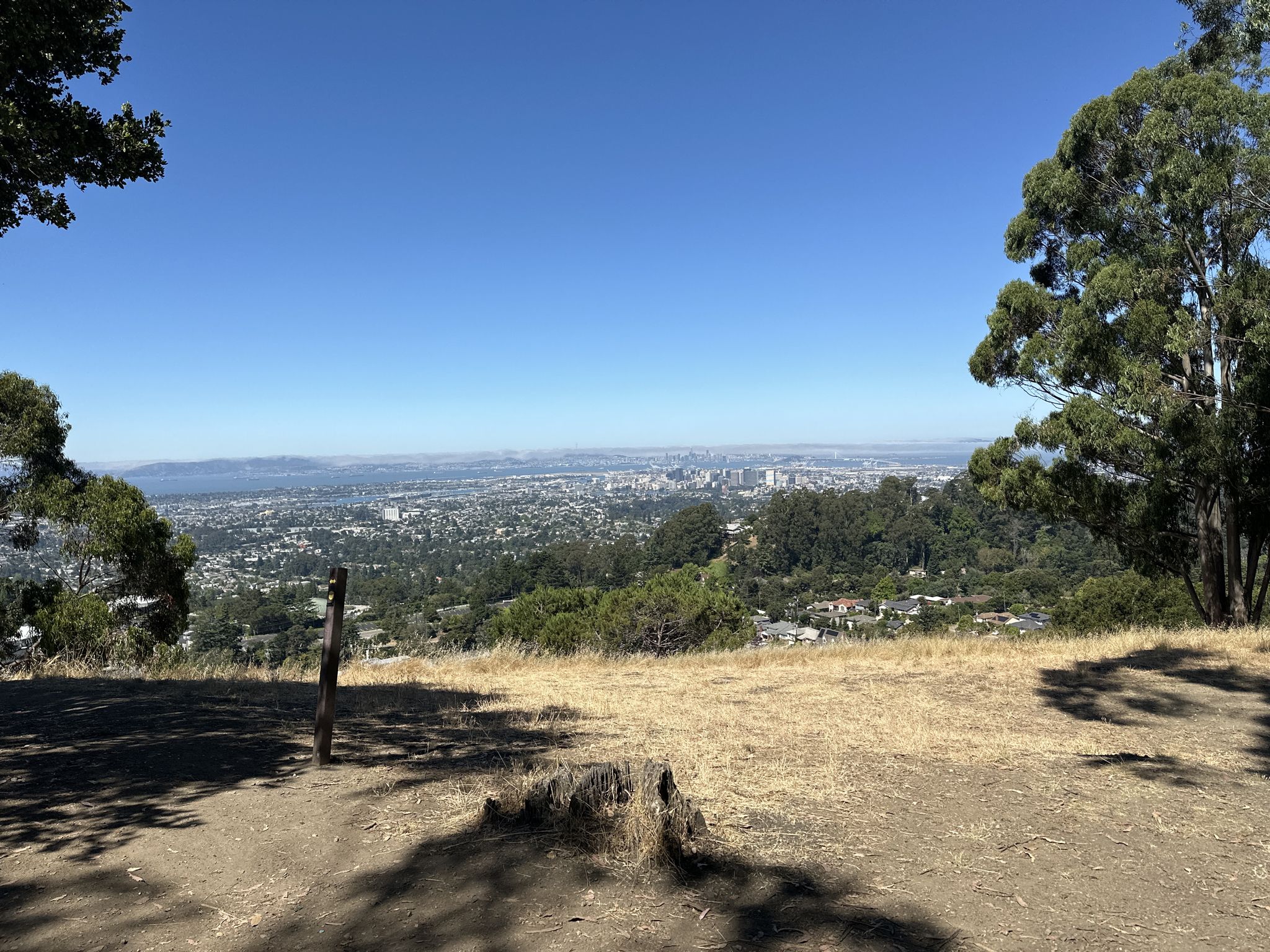 Expansive city view from a dry, grassy hill under a clear sky. - Joaquin Miller Park – Cinderella Trail loop from North Berkeley