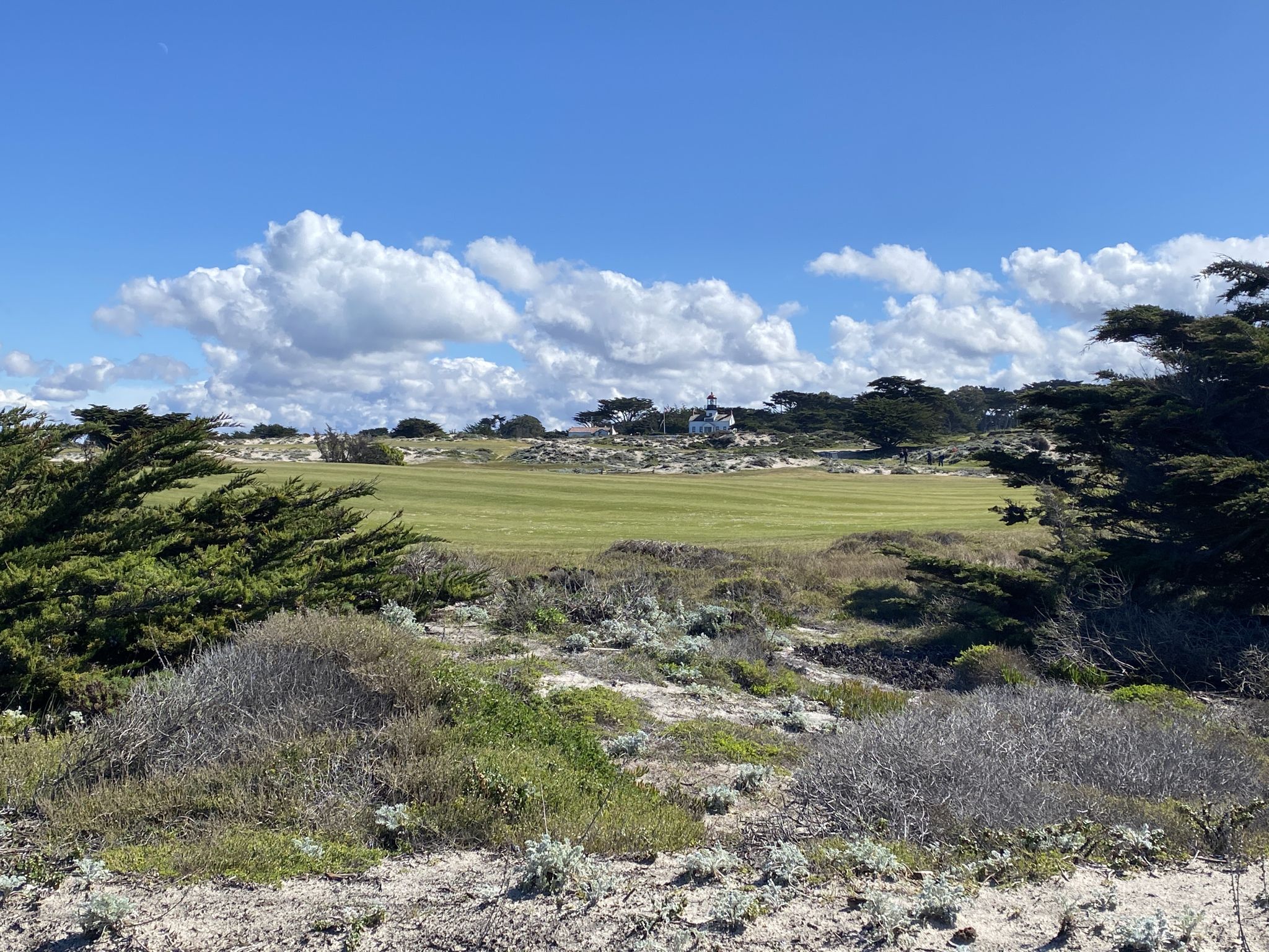 Green golf course surrounded by scrub brush under a bright cloudy sky. - Monterey Bay Coastal Recreation Trail