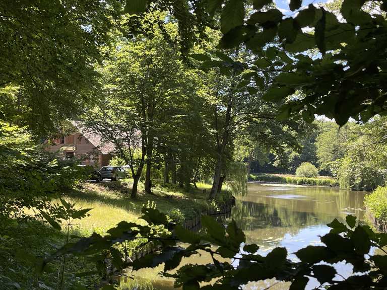 Vom Oberfeld zur Fischerhütte Wanderung Komoot