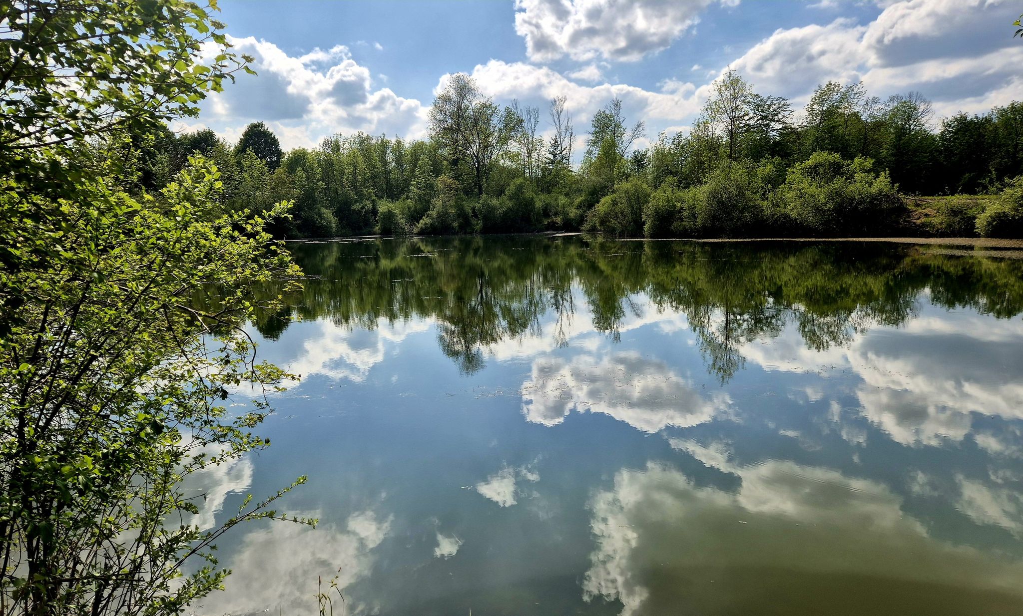 Auwaldweiher