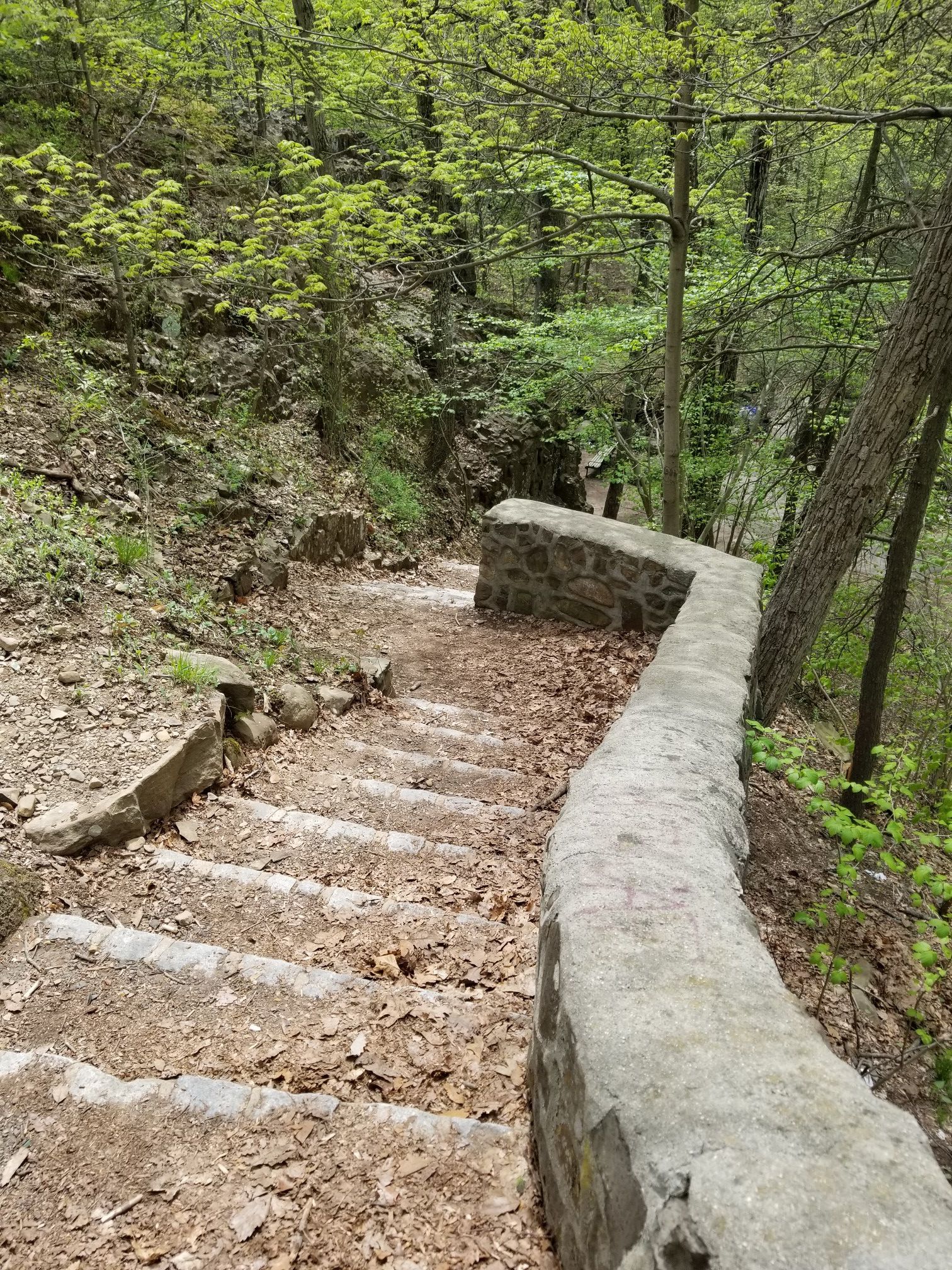 Stone steps with a low wall descend into a bright, leafy forest. - Hemlock Falls Loop