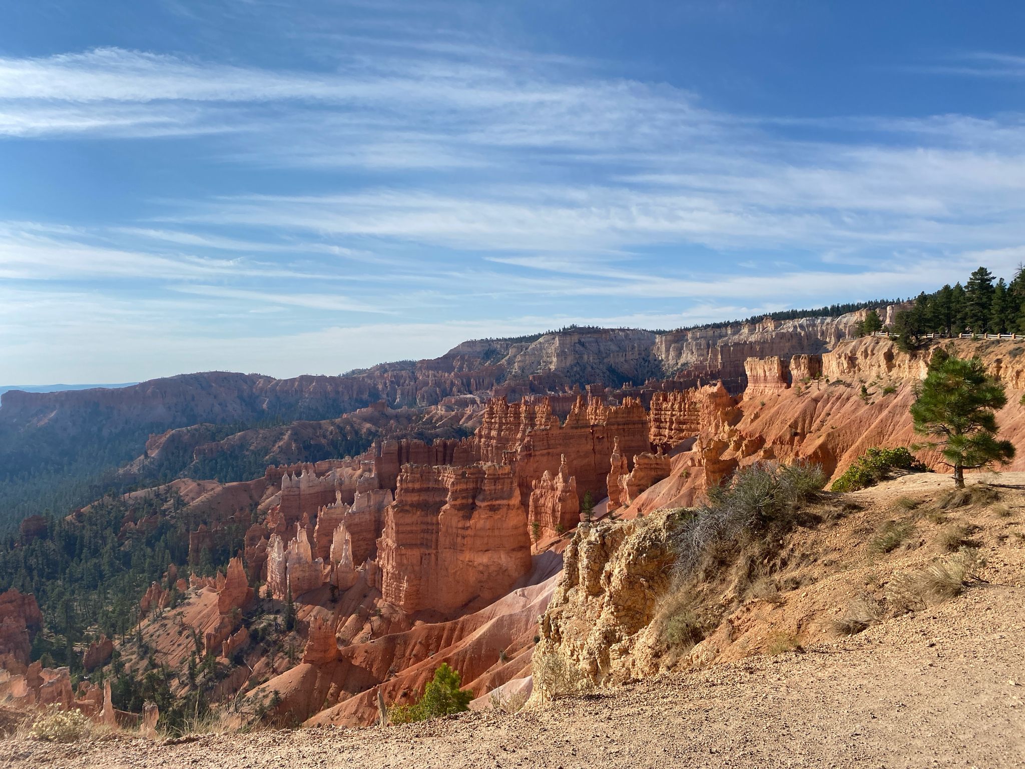 Sunny day over a vast canyon with red rock formations and green trees. - Sunset Point – Queens Garden Trail loop from Bryce Canyon Lodge