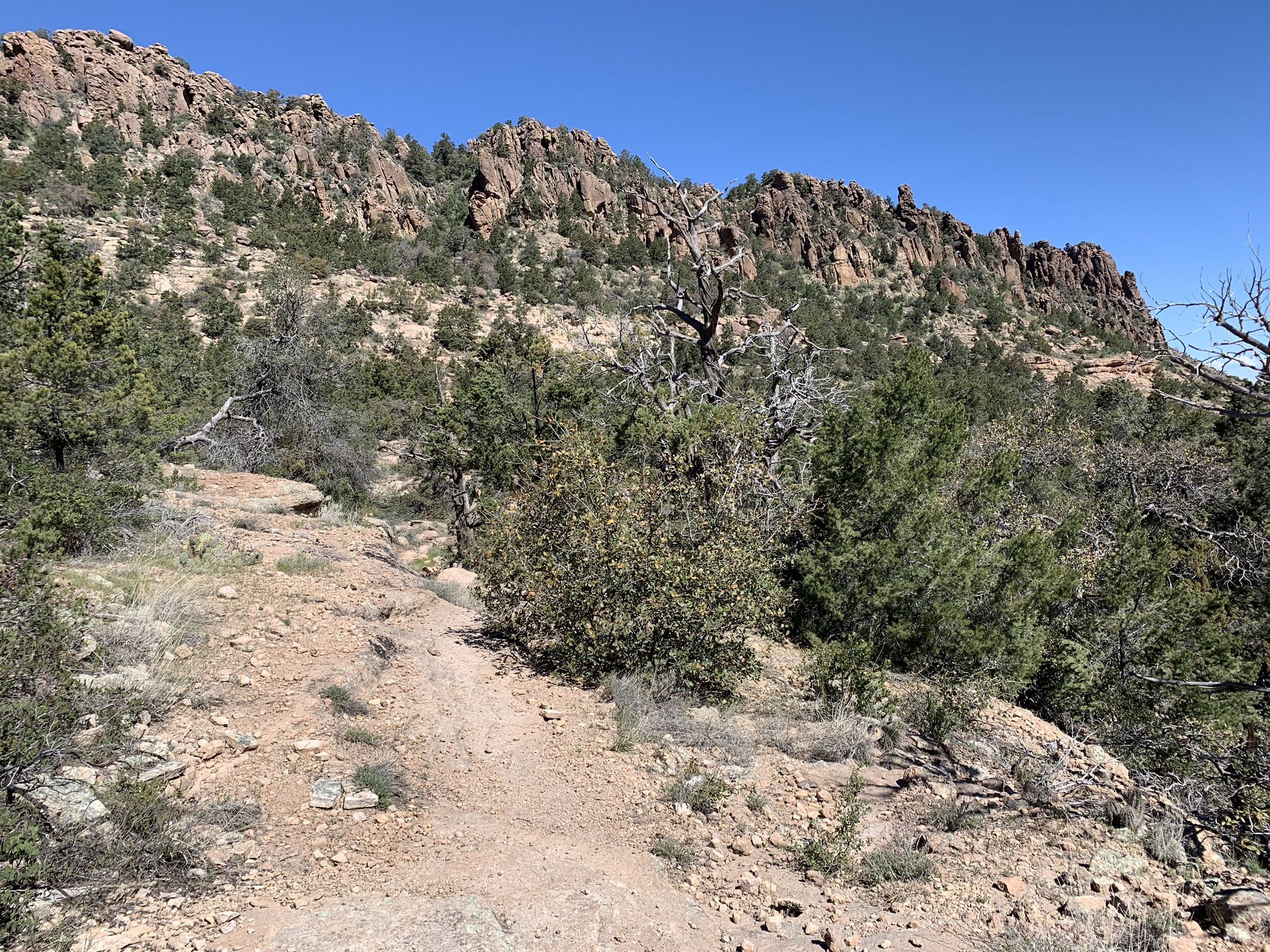 A rocky dirt trail ascends a rugged, tree-dotted mountain under a clear sky. - Reavis Gap Loop