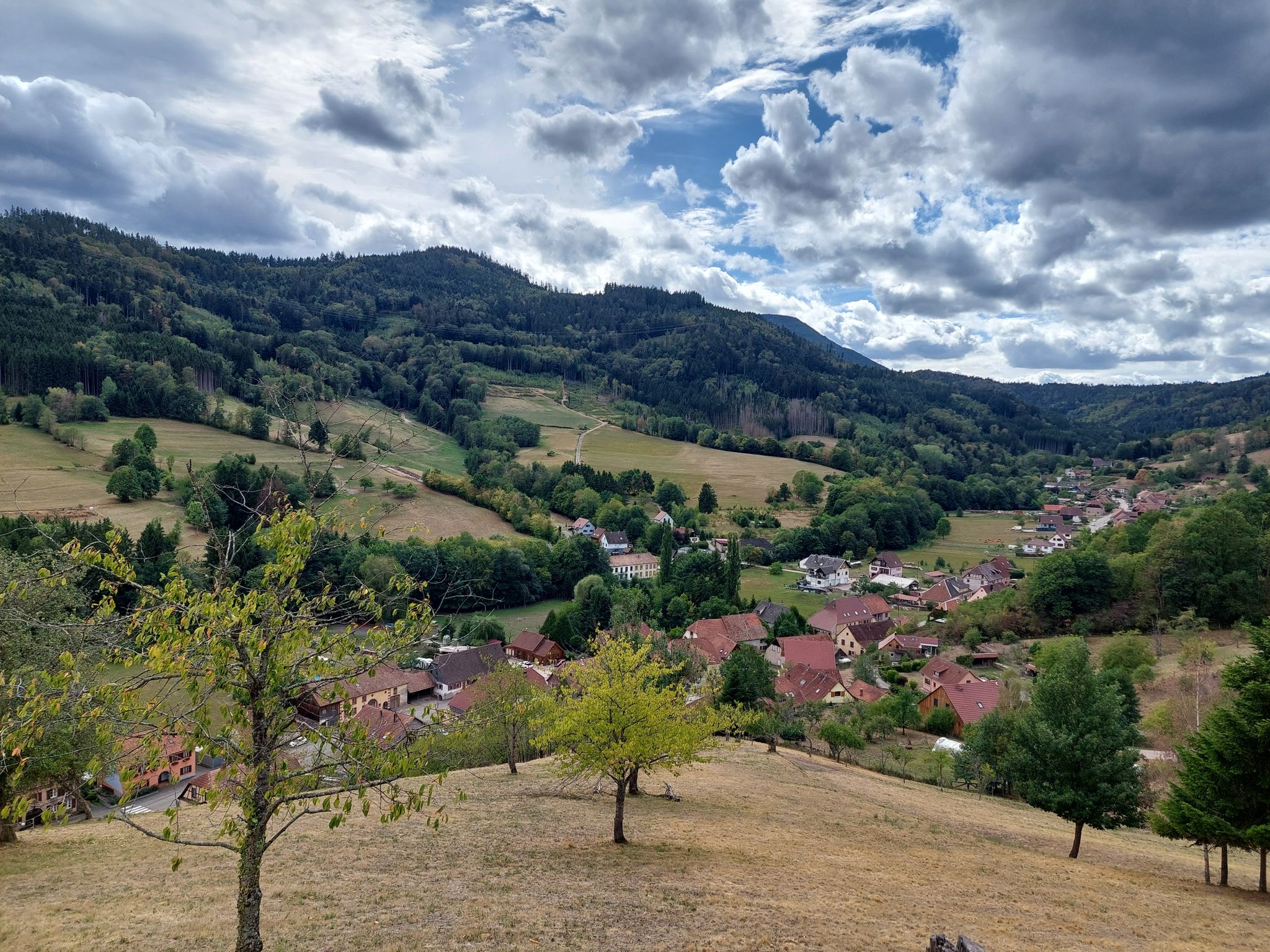D424, Auffahrt Col de Steige: Blick auf den oberen Ortsteil von Steige