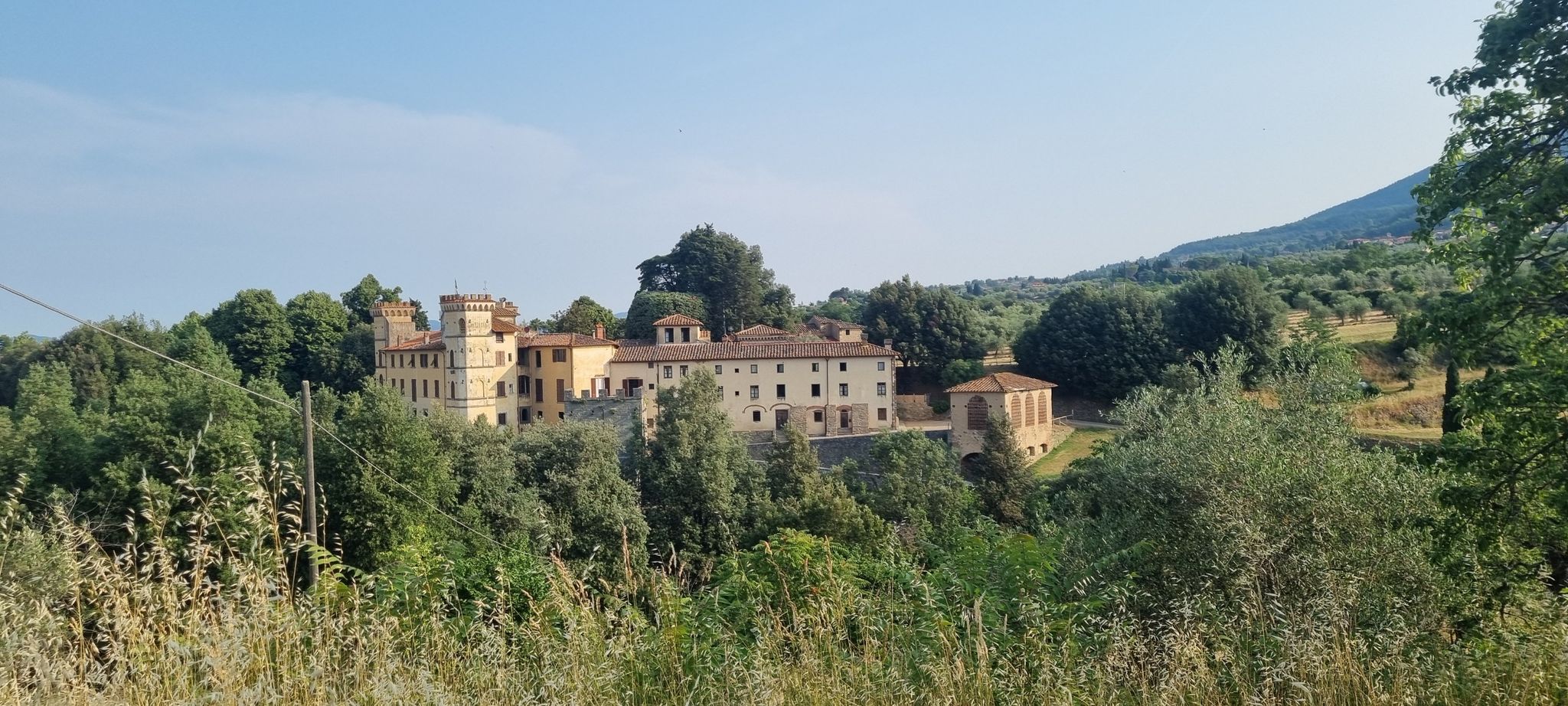 I Bonsi