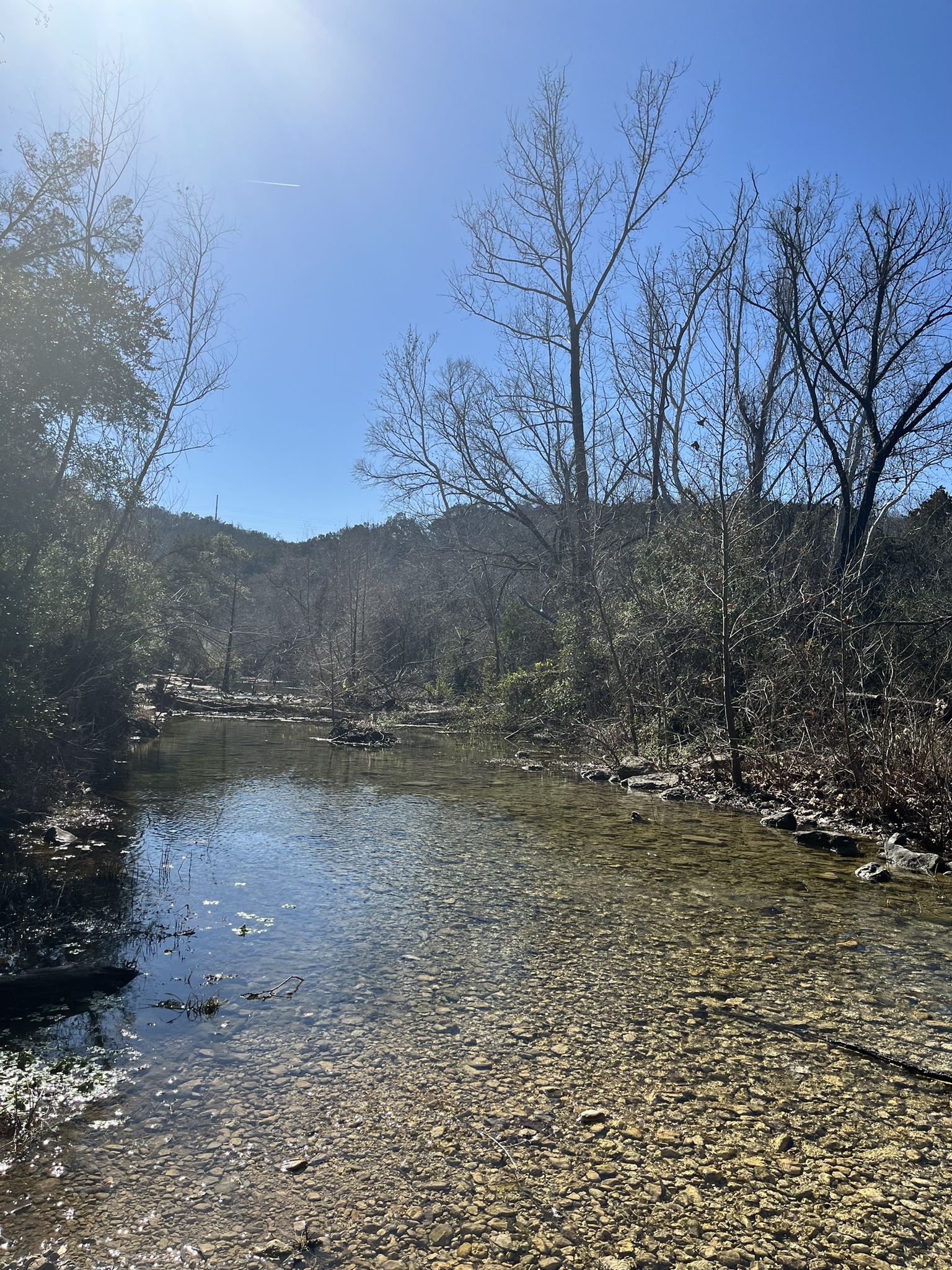 Clear, shallow stream with rocky bed, surrounded by trees under a bright sunny sky. - Bull Creek to St. Edward's Park Loop